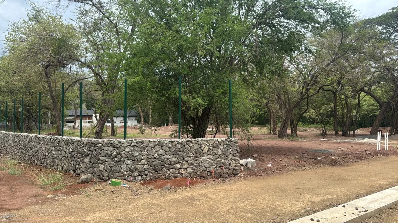 Vente Terrain Tamarindo