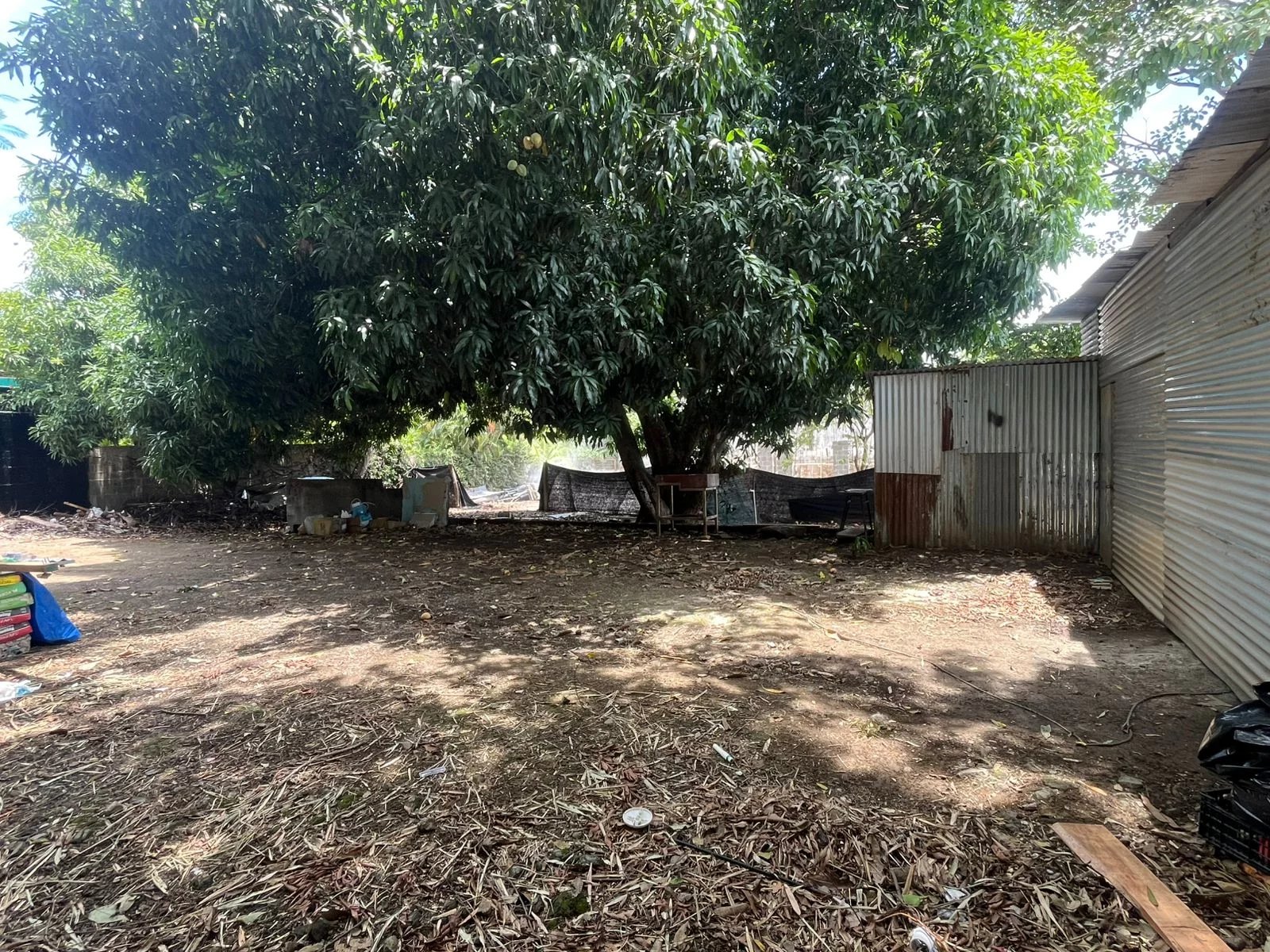 Vente Terrain Tamarindo