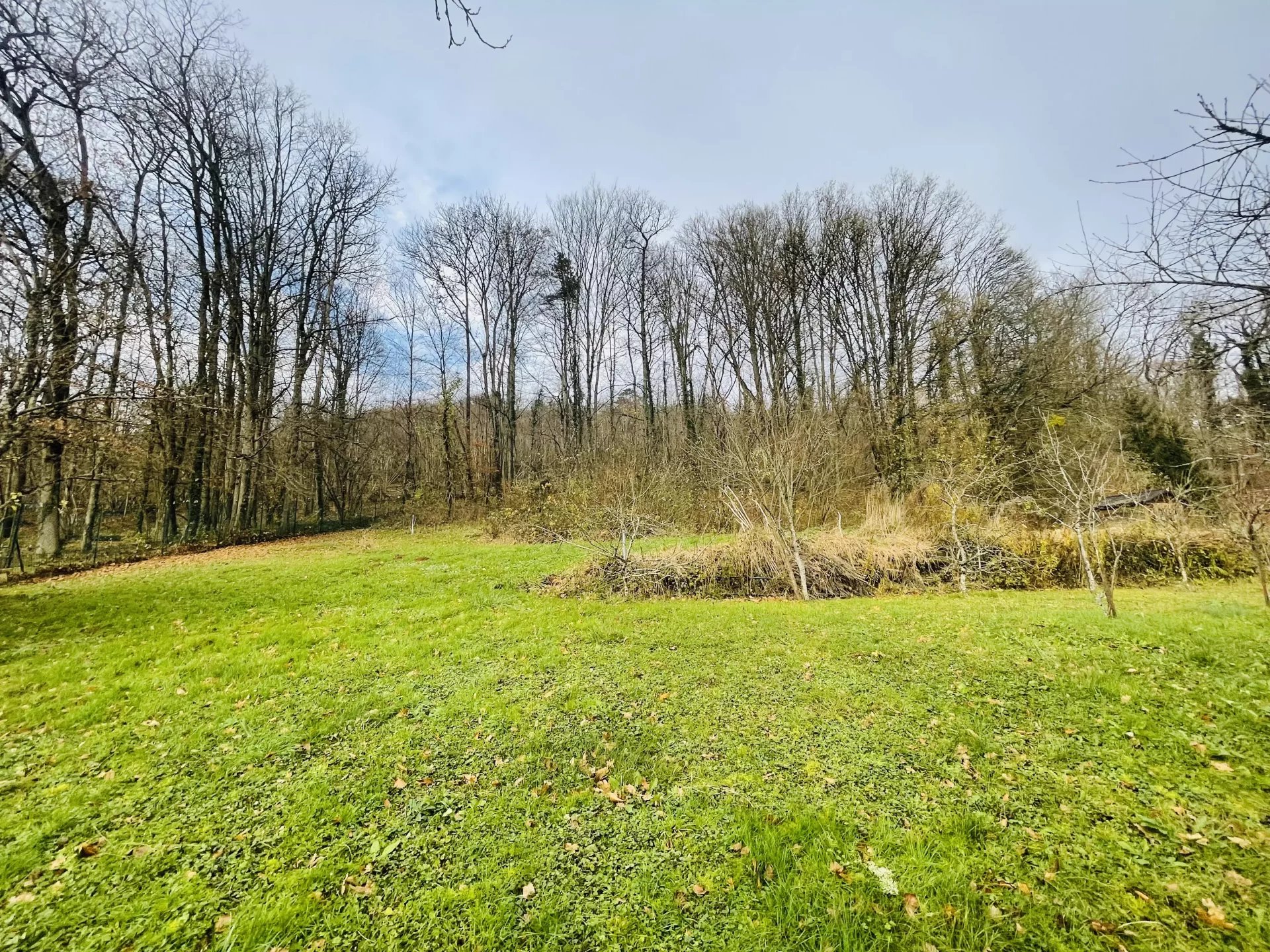 Achat Terrain T1 à Champigneulles (54250) - 990m²