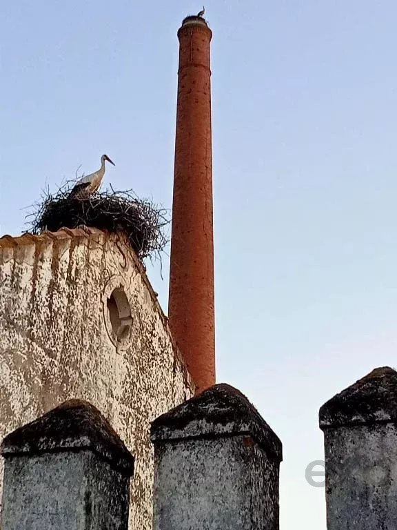 5-Bedroom Villa (2 x 3-Bedroom + 1 x 2-Bedroom Units) 86873882 image 66