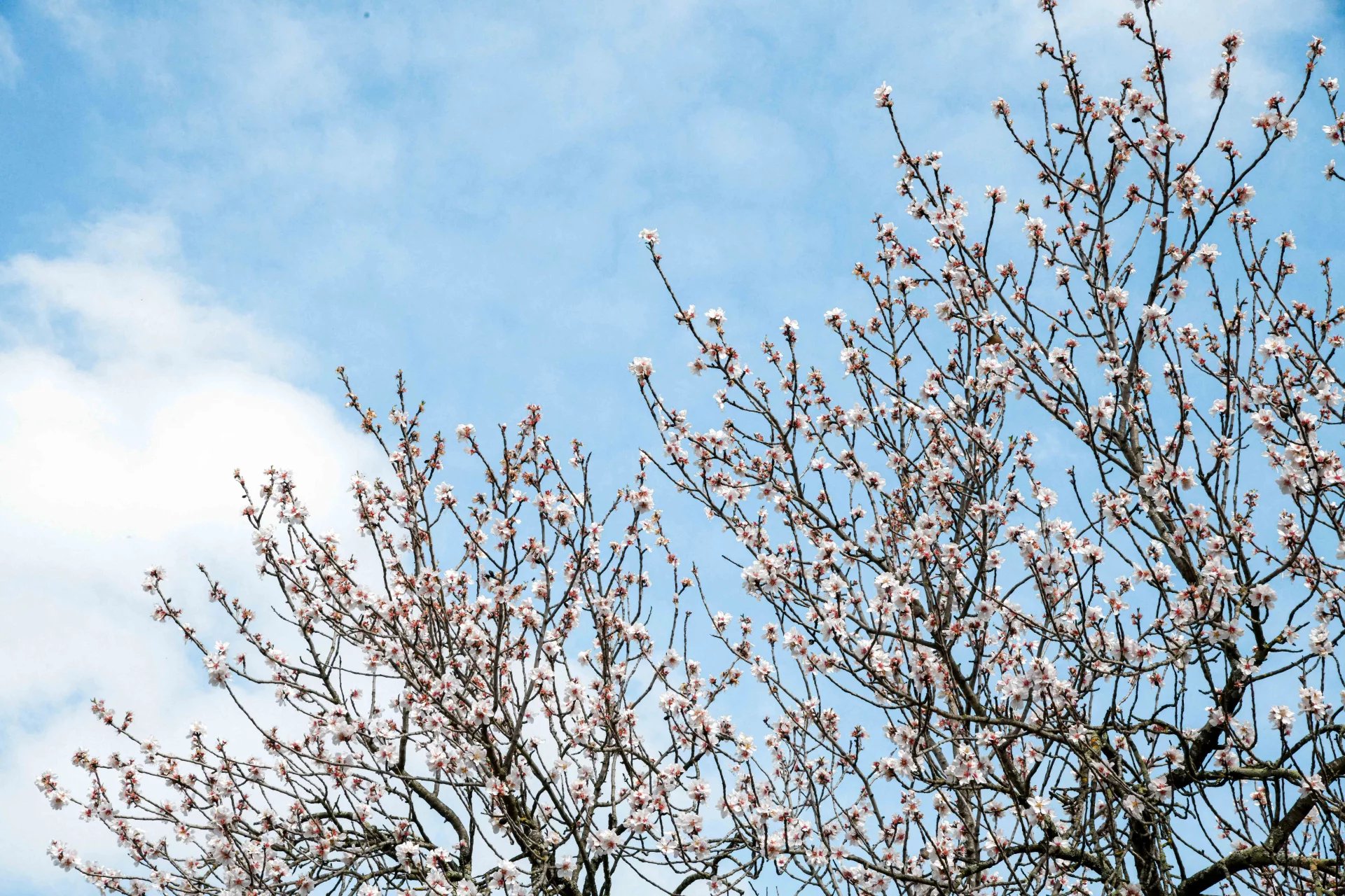 Agence immobilière de Catherine la Bruyère Immobilier