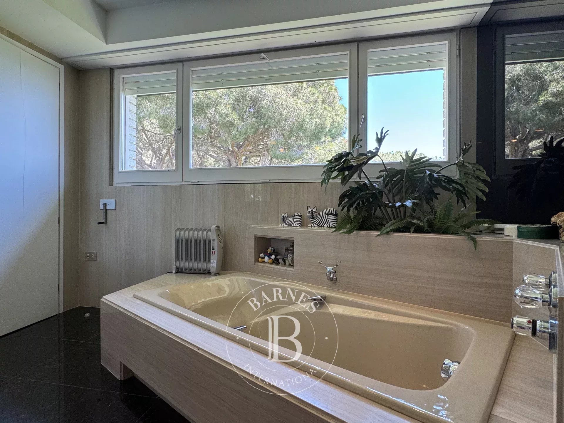 Ev Cabrils - picture 35