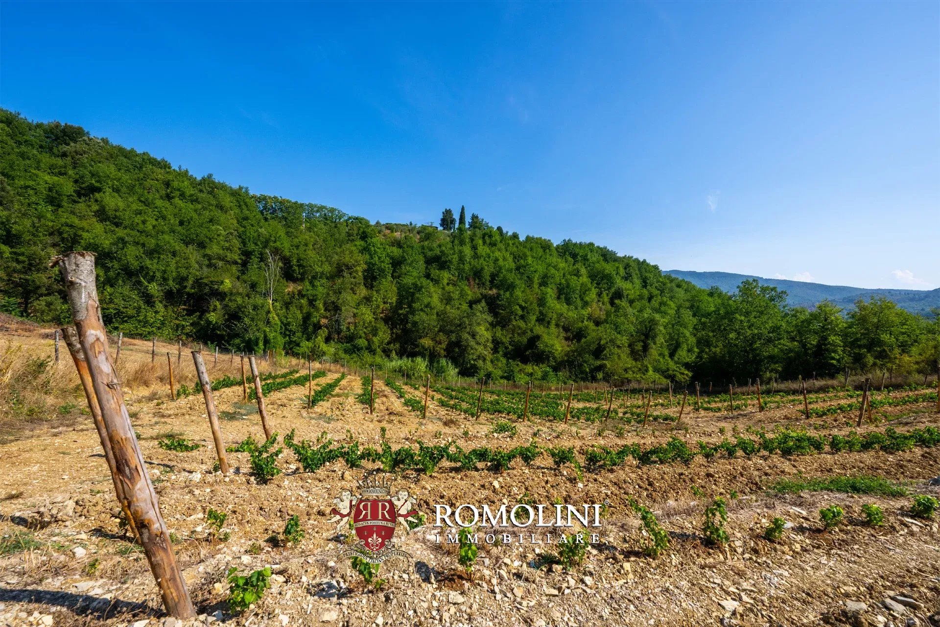 3 Bedroom Vineyard's Image 20