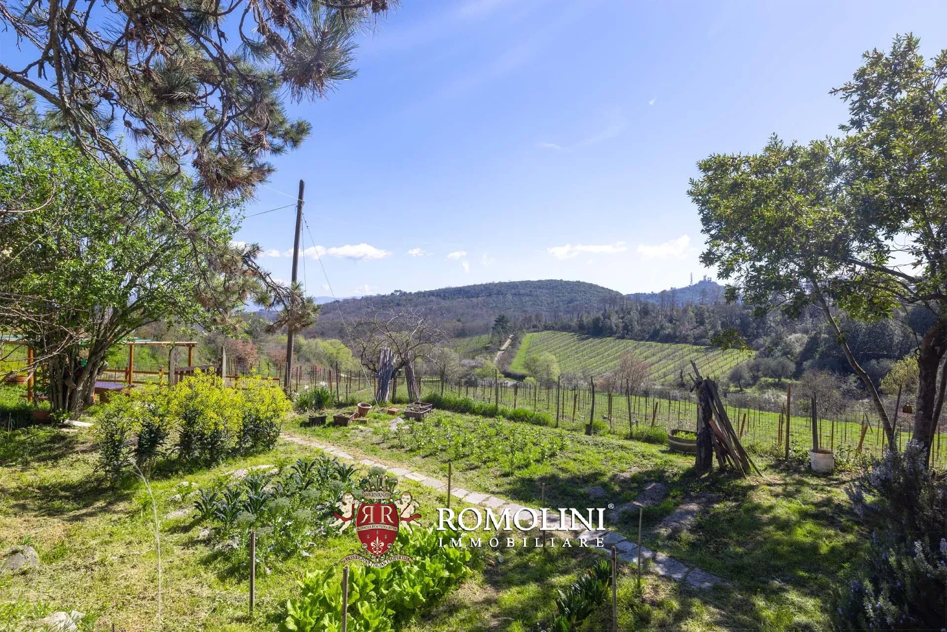19 Bedroom Vineyard's Image 87