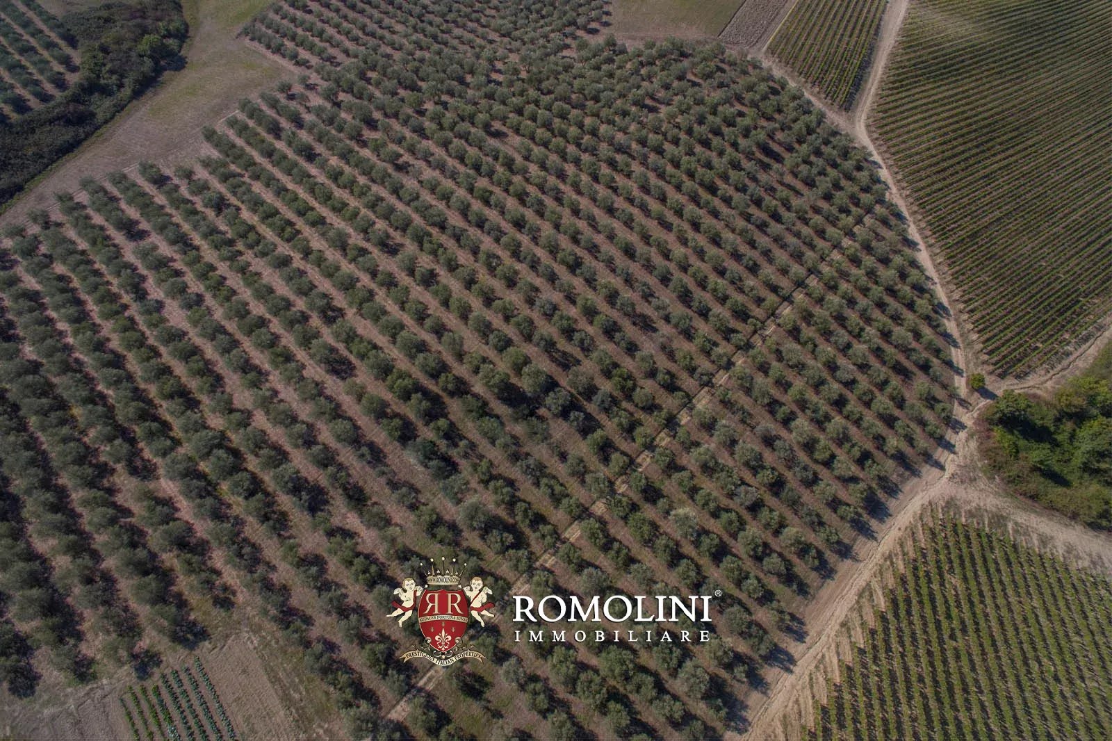 10 Bedroom Vineyard's Image 24