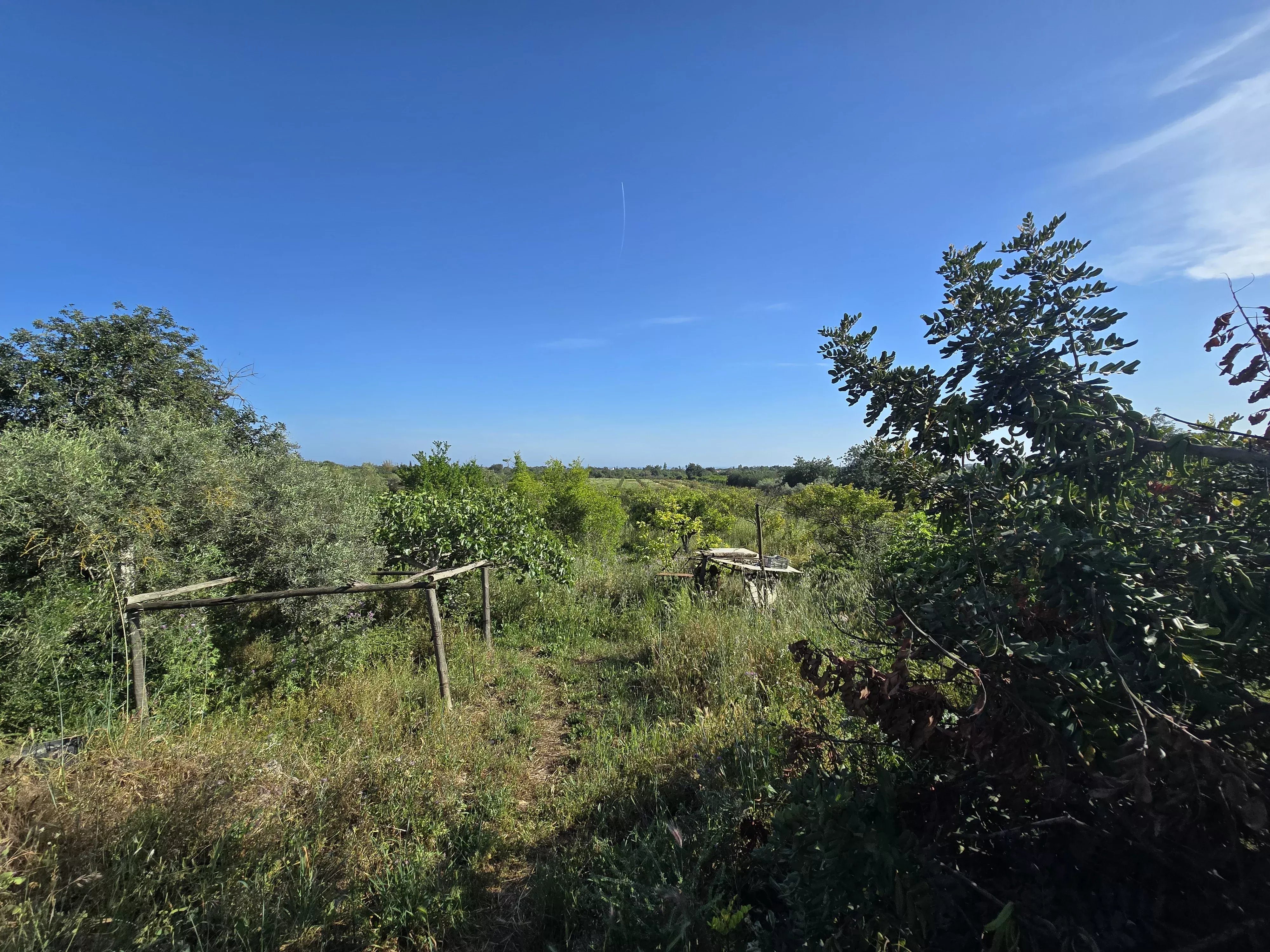 6 room Farmhouse with 1.5 hectares of land and sea view 86949039 image 43