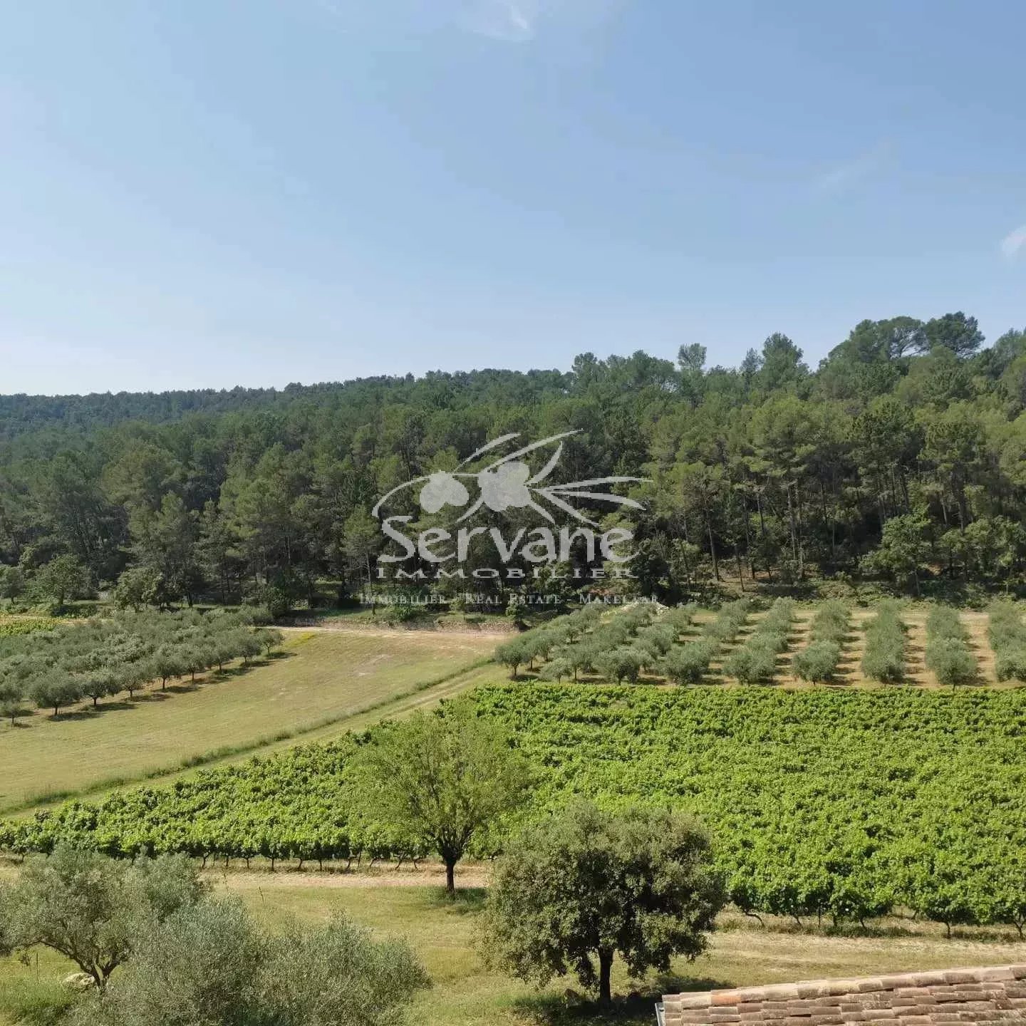 PROVENCAL MAS IN LORGUES SETS ON 4000 M²