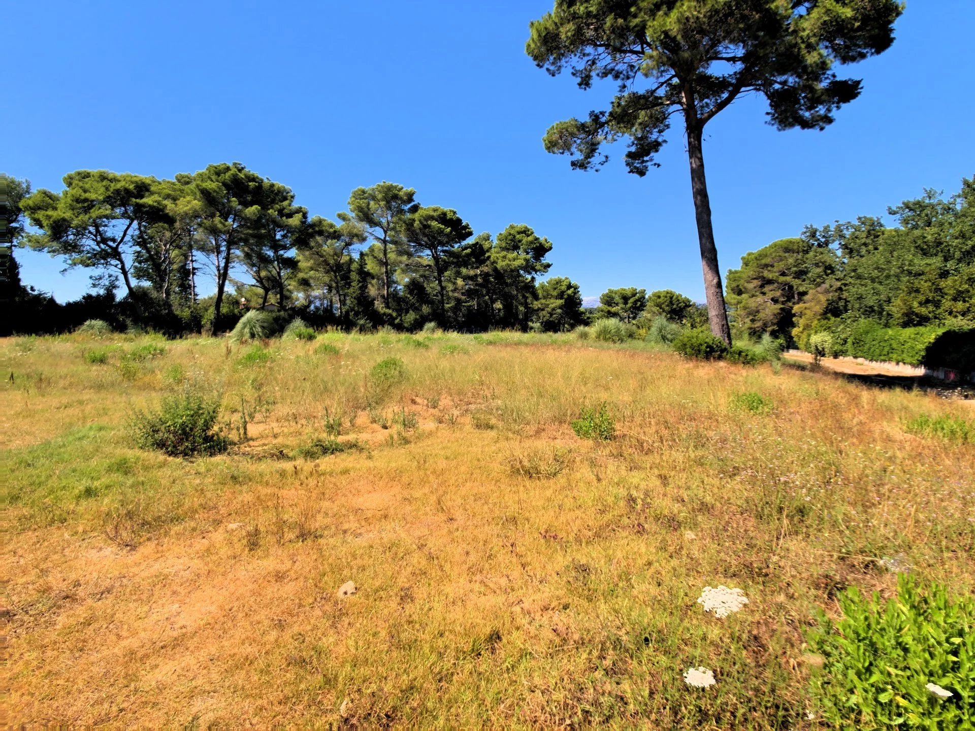 Terrain plat constructible au calme, ensoleillé