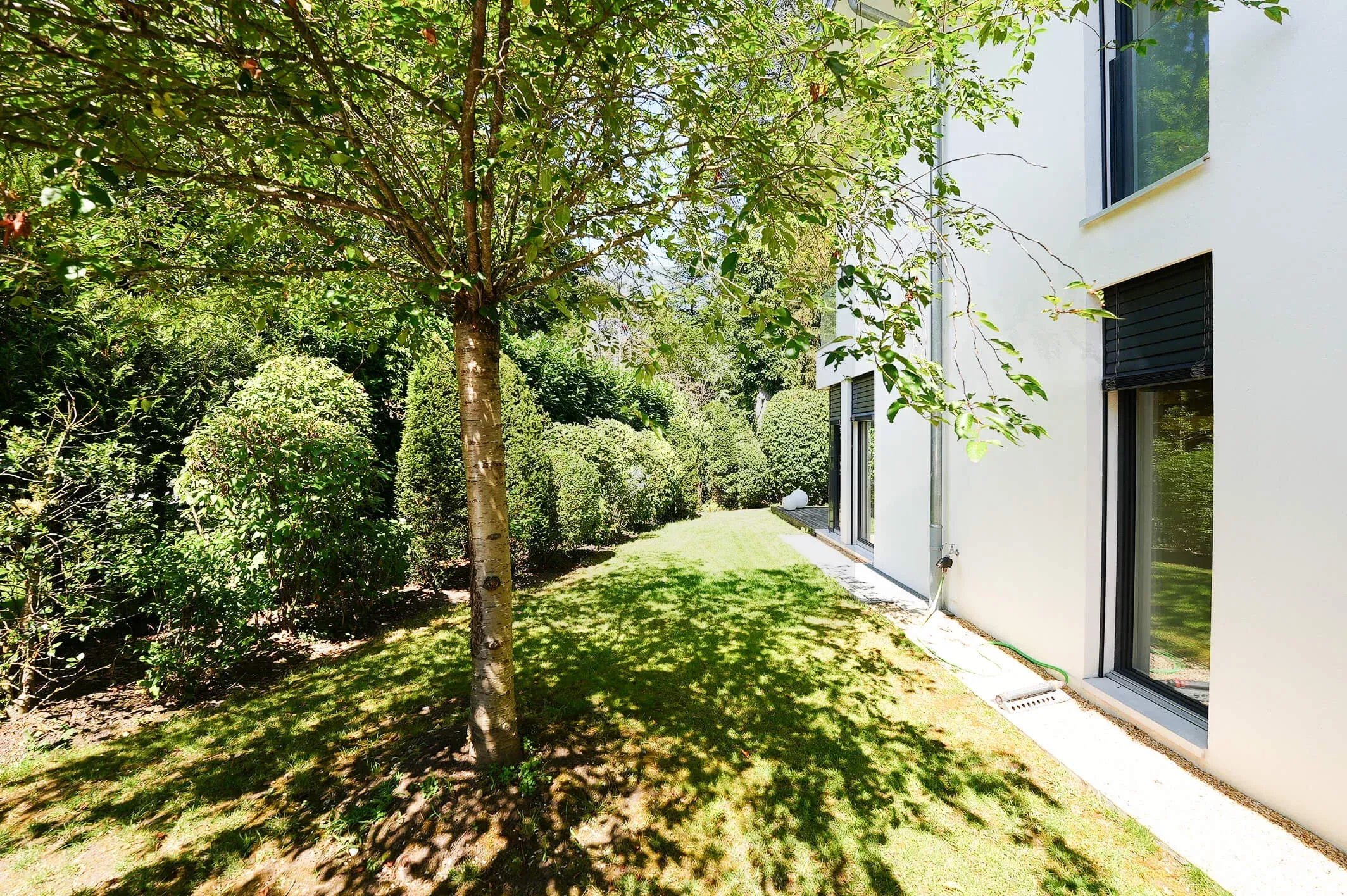Villa contemporaine de luxe à Conches — photo 1