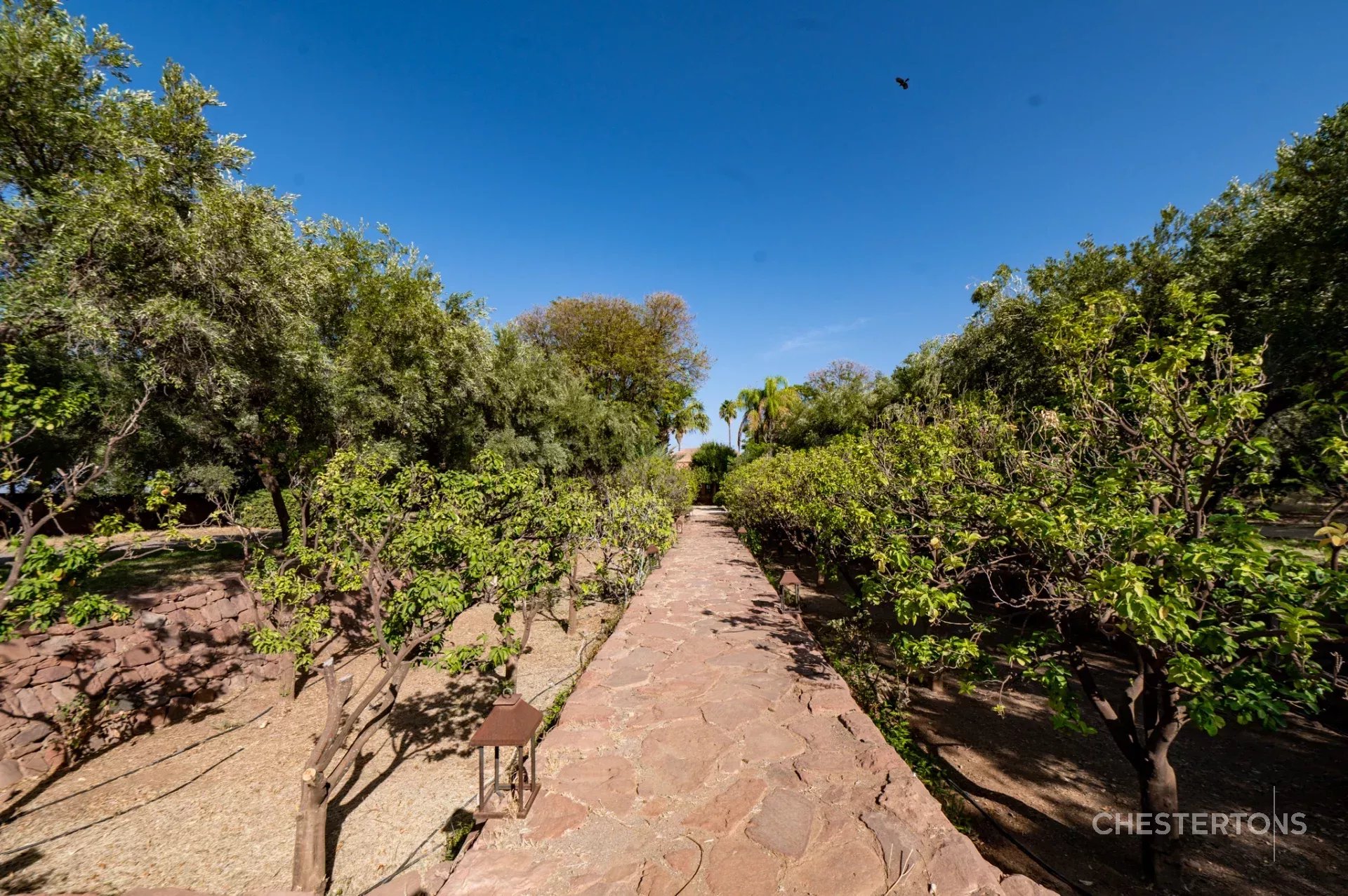 Image of Villa - 8 Bedrooms for Sale in Marrakech-Ménara-Marrakech-Morocco, Image 49