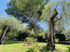 Superb 3 rooms in the heart of the Oxford district — photo 3 of 7