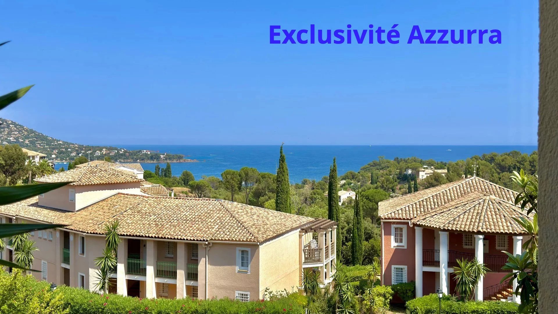 Agence immobilière de Azzurra Immobilier