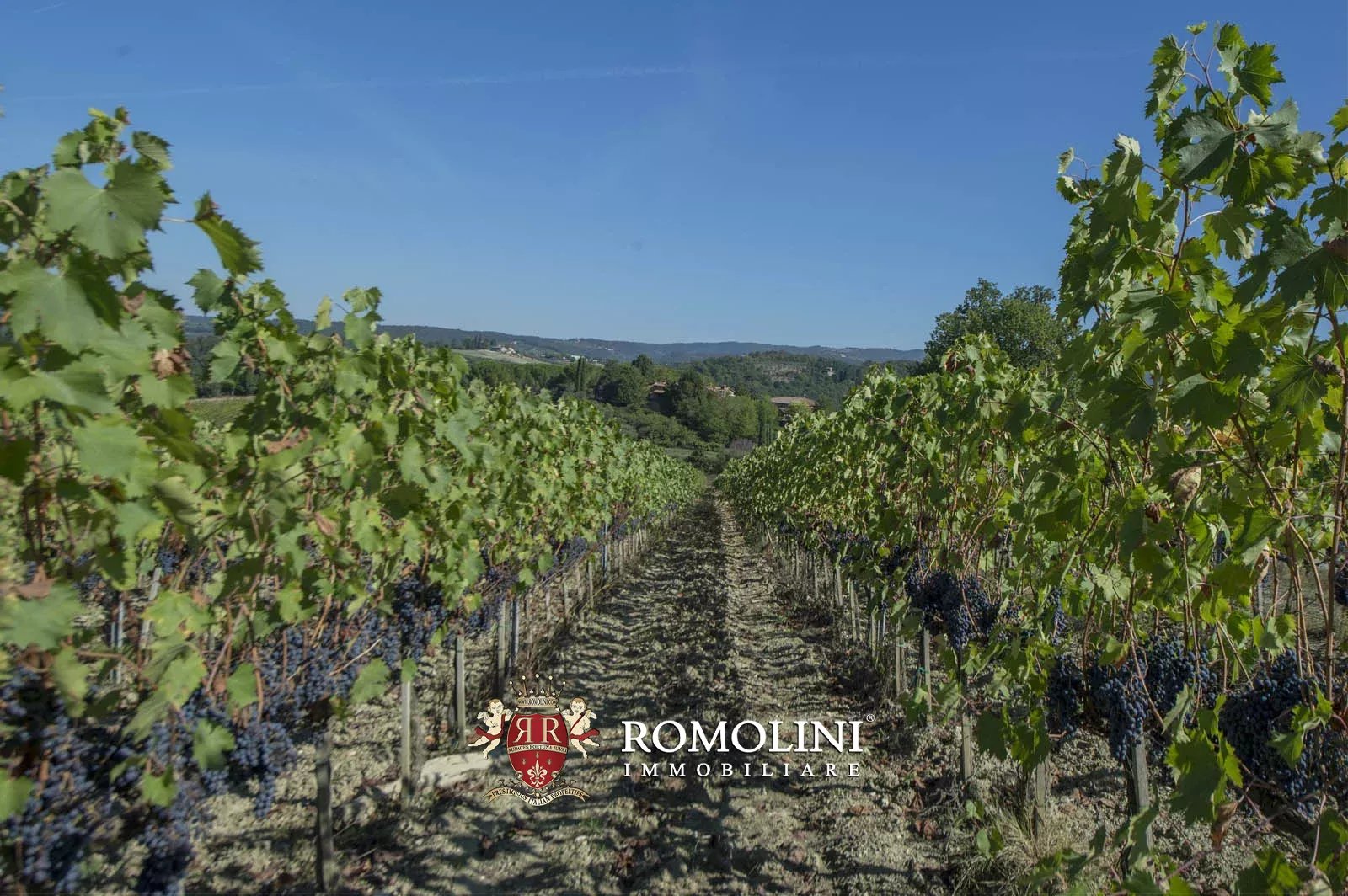10 Bedroom Vineyard's Image 32