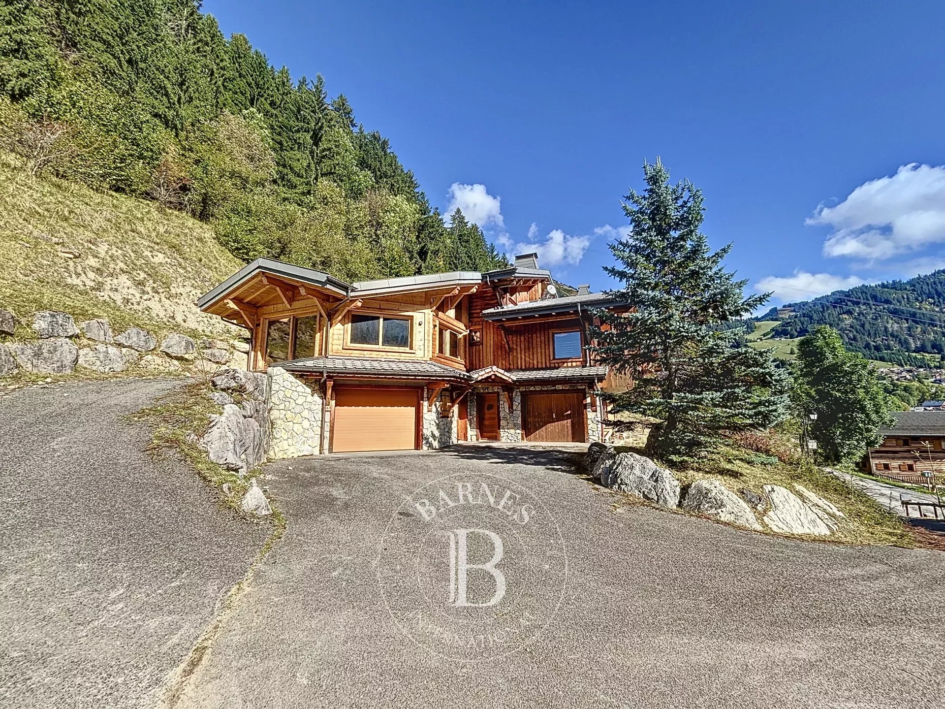 Photo of Châtel - Chalet of 260 sq m (220 sq m living space) - 4234 sq m of land - Near village center in a sought-after area with magnificent South-West exposure