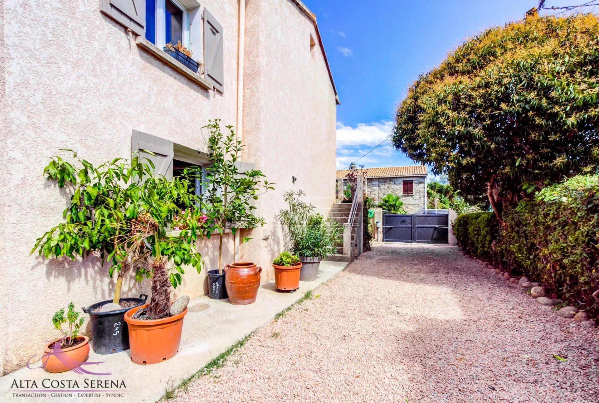 Agence immobilière de 