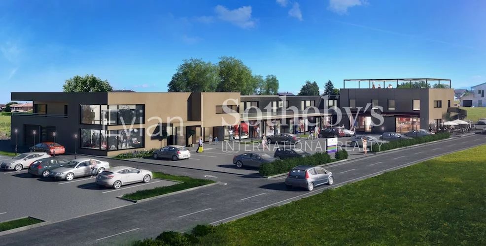 Vente Local Veigy-Foncenex