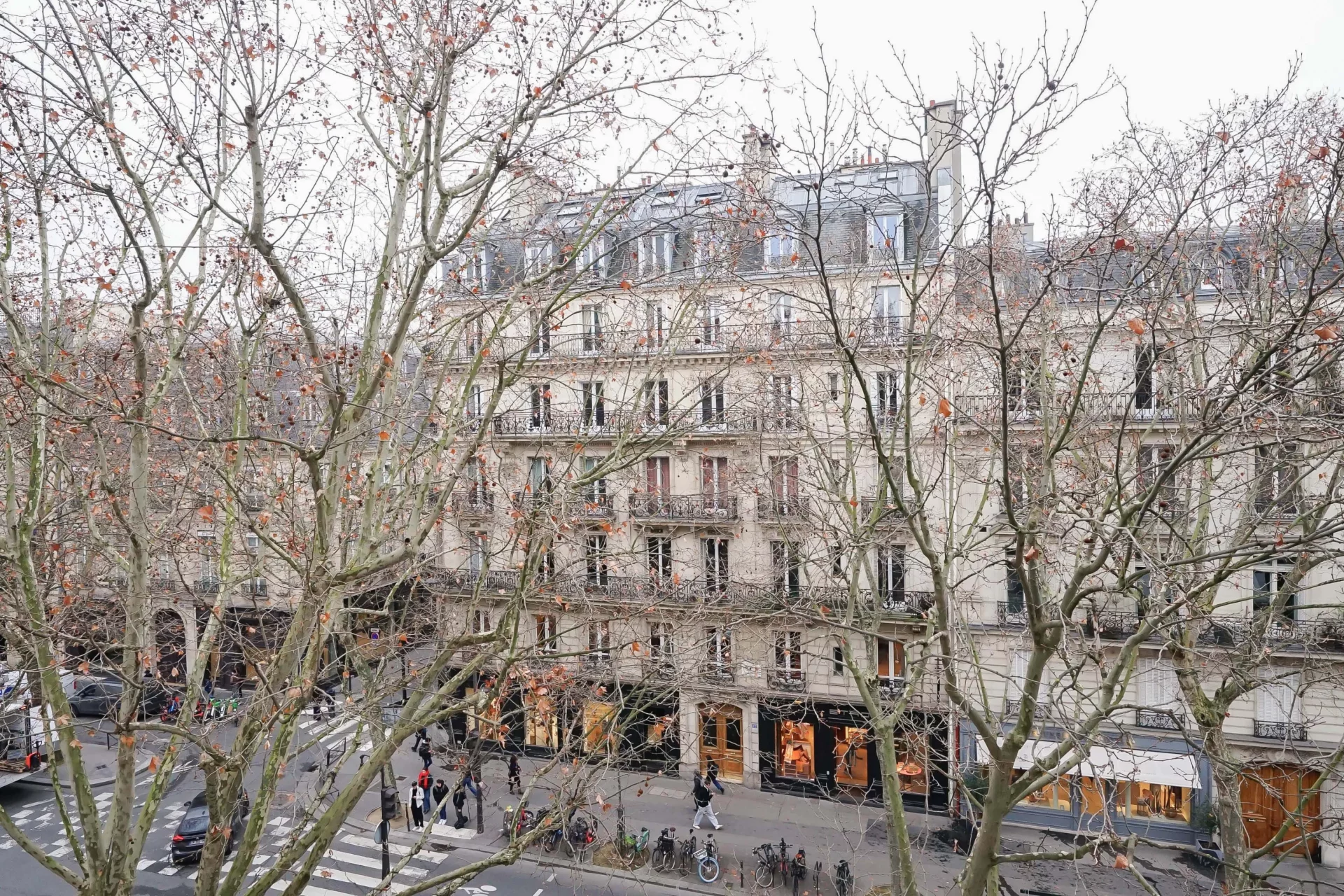 Paris 7e - SAINT-GERMAIN DES PRÉS / SAINTS-PÈRES