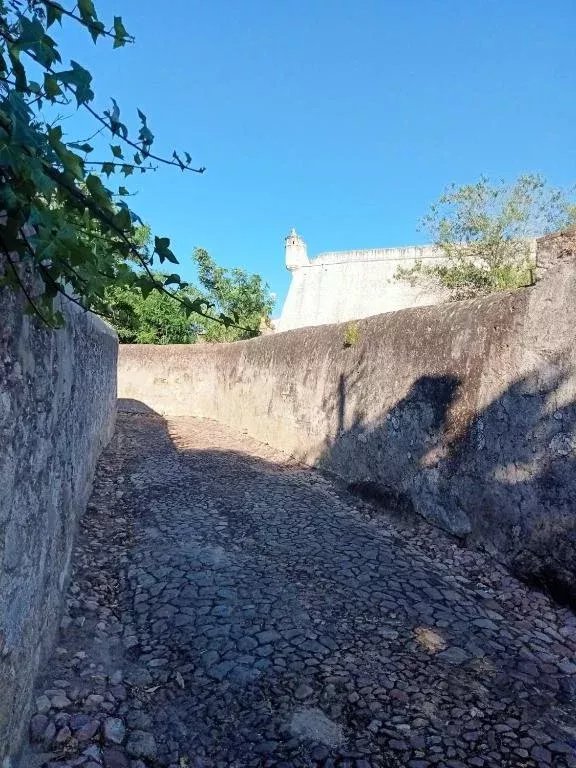 5-Bedroom Villa (2 x 3-Bedroom + 1 x 2-Bedroom Units) 86873882 image 69