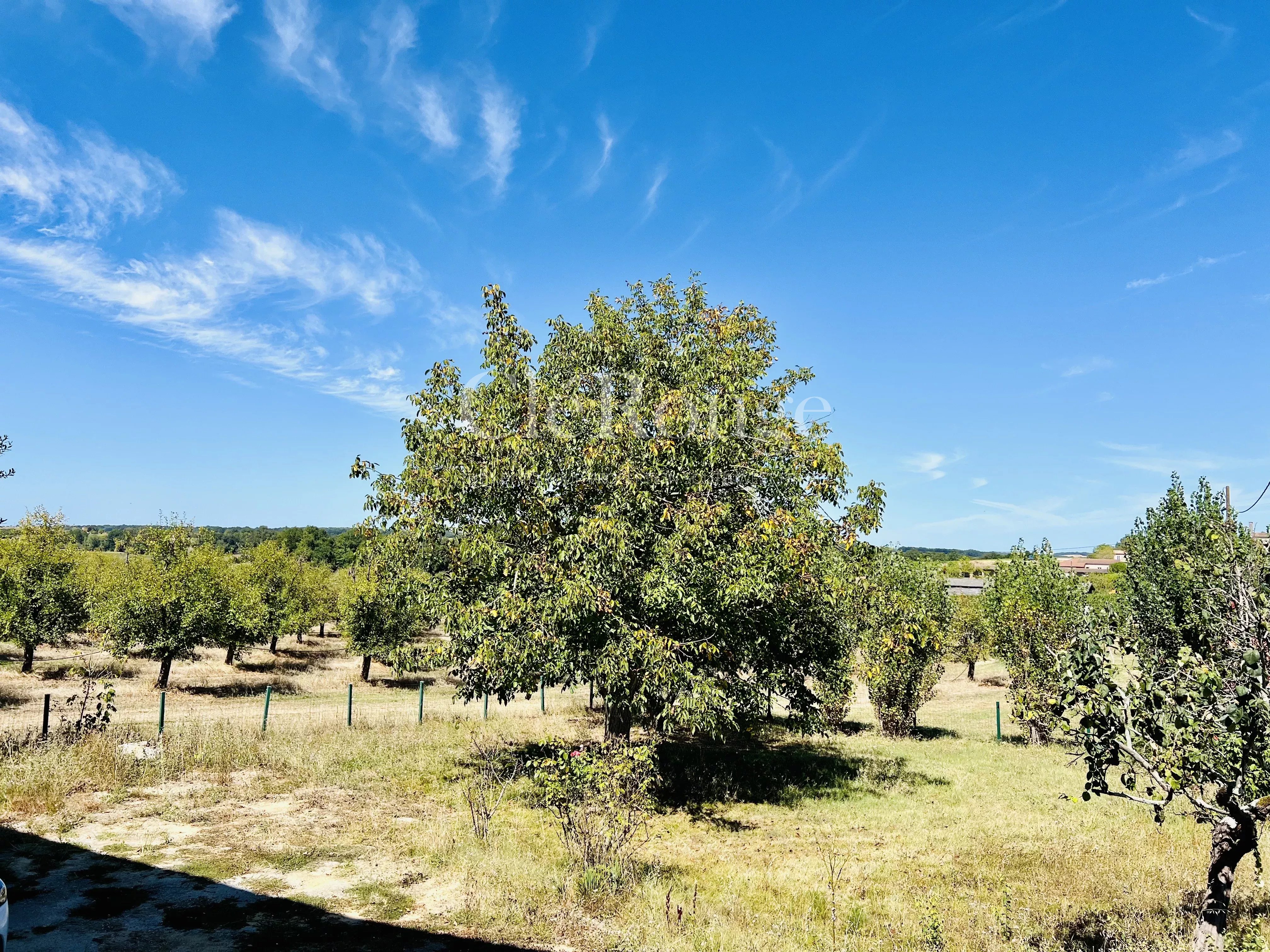 Pardaillan - Maison de campagne de 4 chambres avec sous-sol
