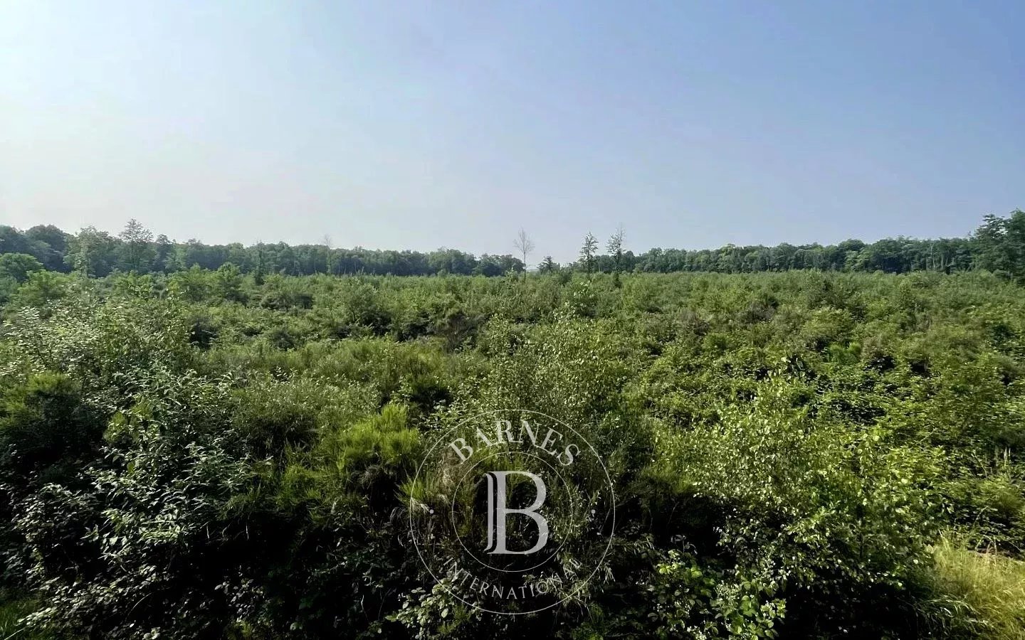 Domaine de chasse Mionnay  -  ref 86080955 (picture 1)