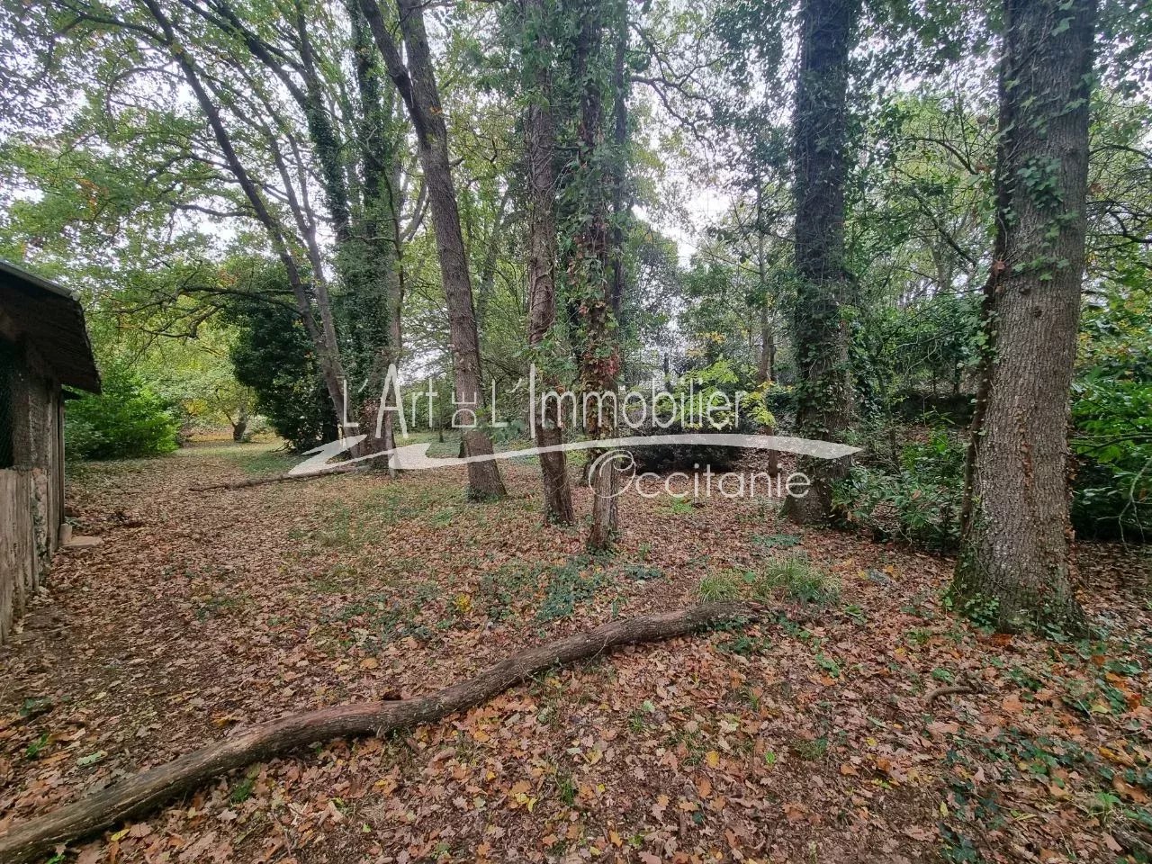 Vente Maison Tournefeuille