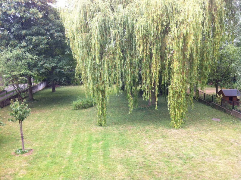 vente-appartement-4-pieces-bourg-la-reine-83874153
