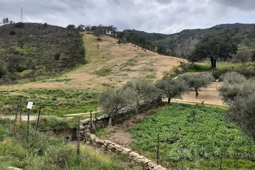 TERRENOS RUSTICOS
