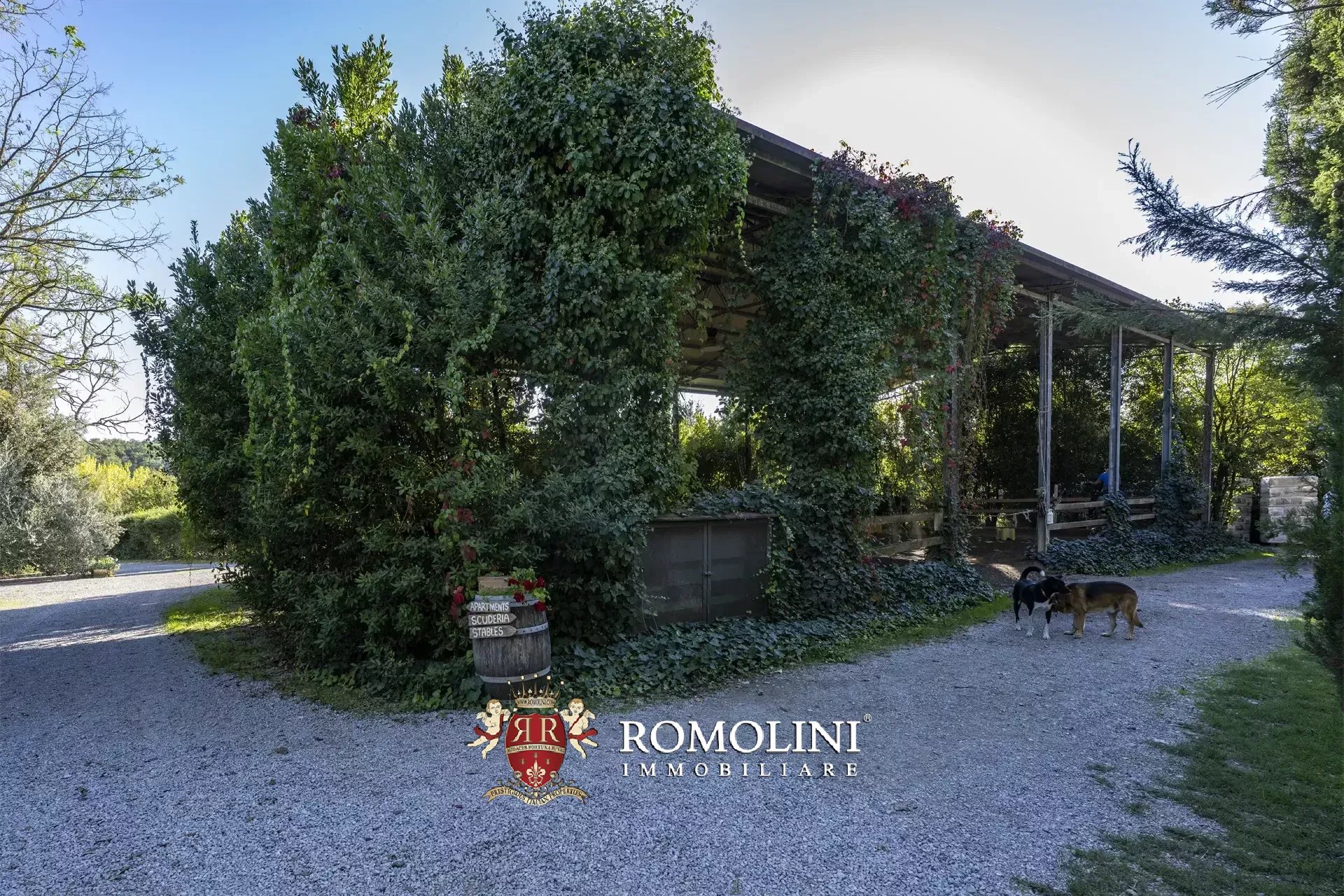 9 Bedroom Horse Property's Image 25