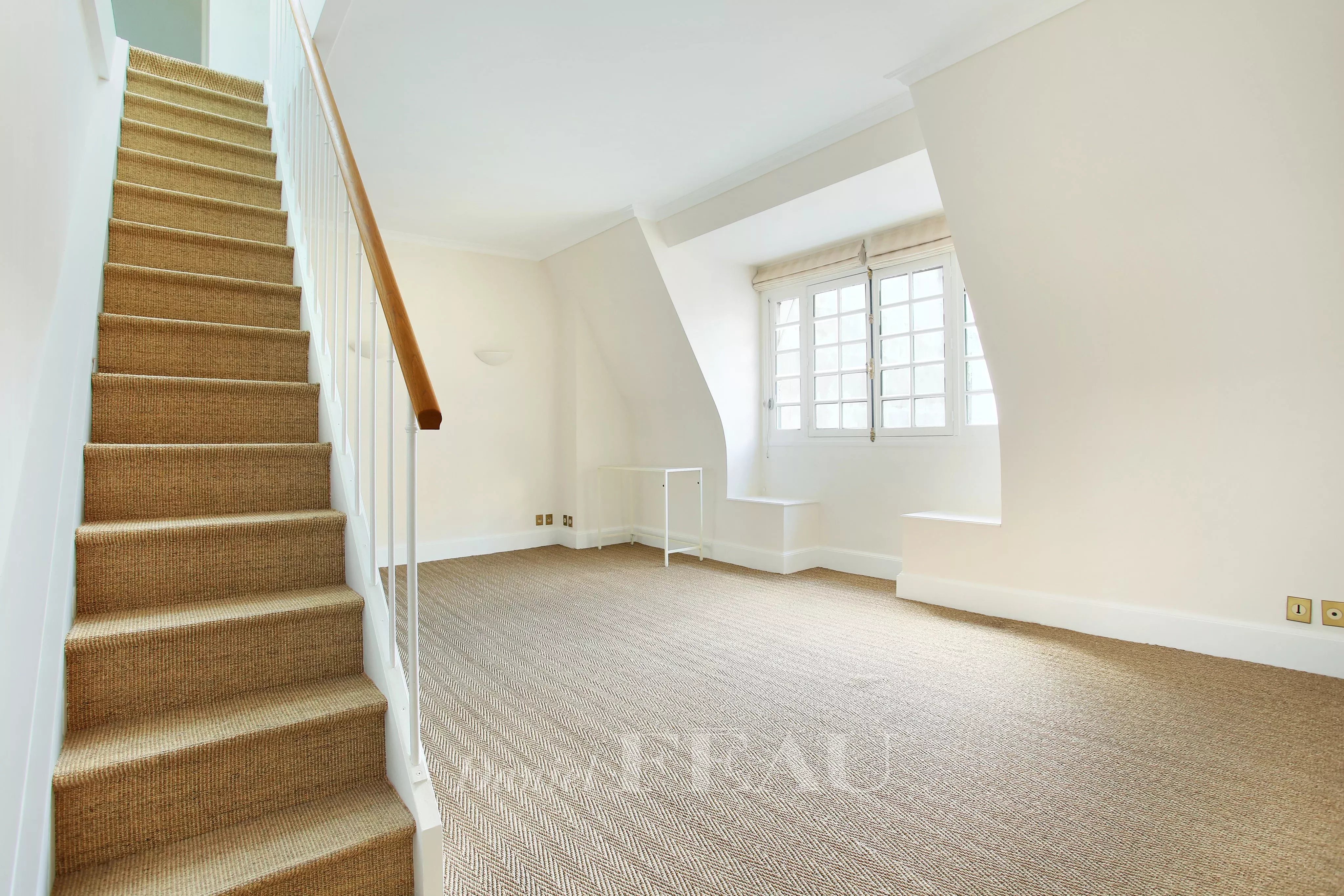Entrance Carpet