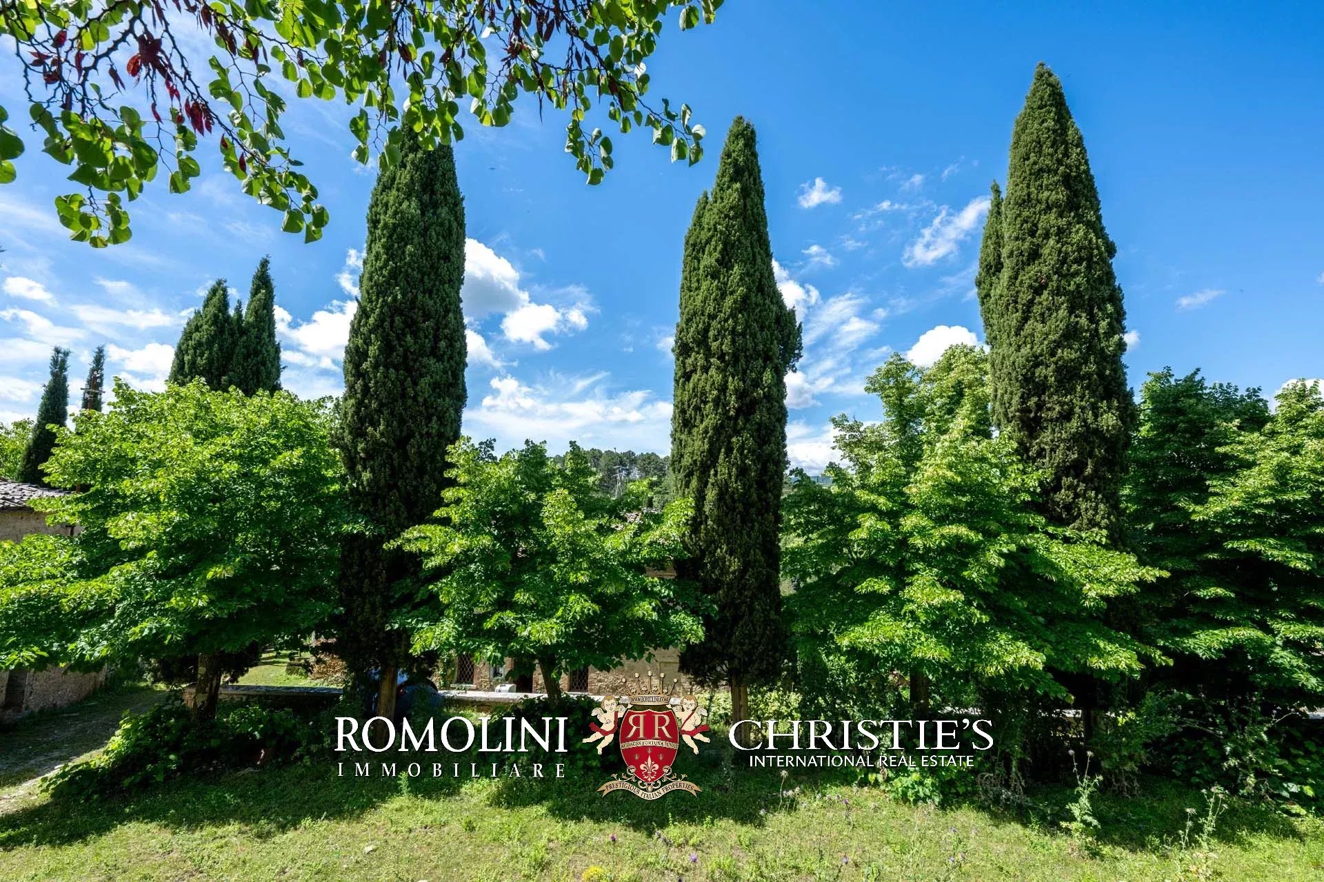 30 Bedroom Villa/Townhouse's Image 21