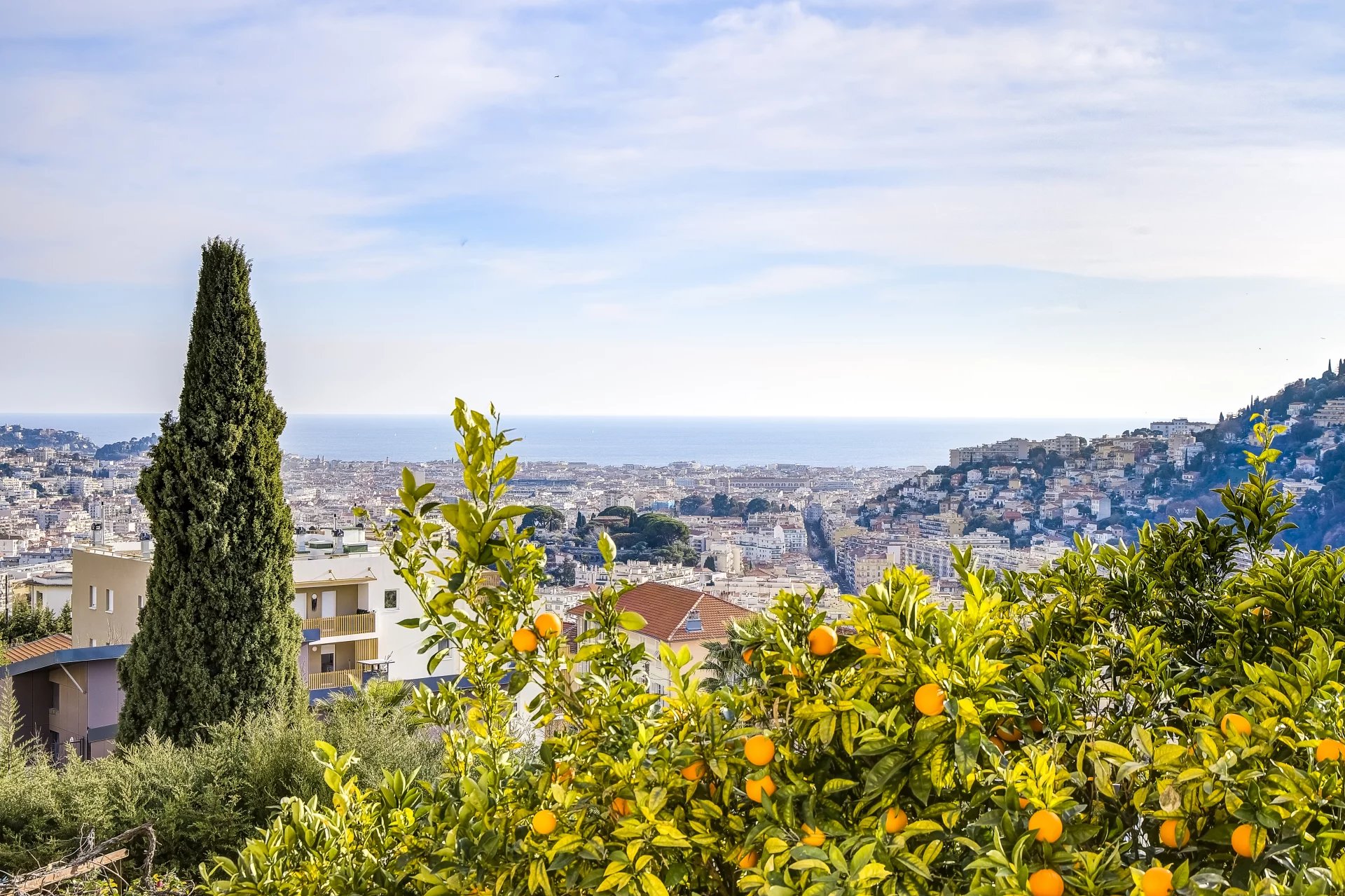 Agence immobilière de Skyline Real Estate