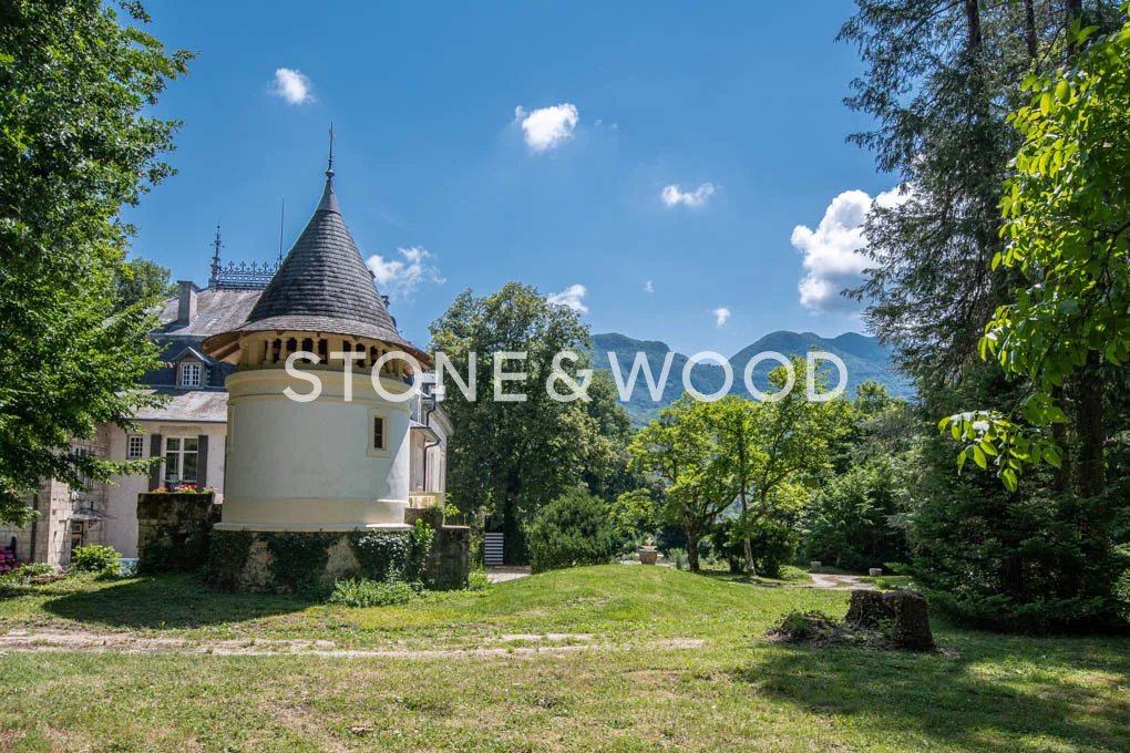 Vente Château Chanaz