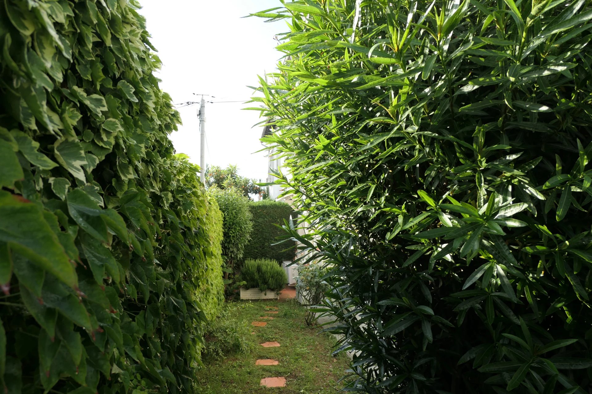 Vente Maison Toulouse