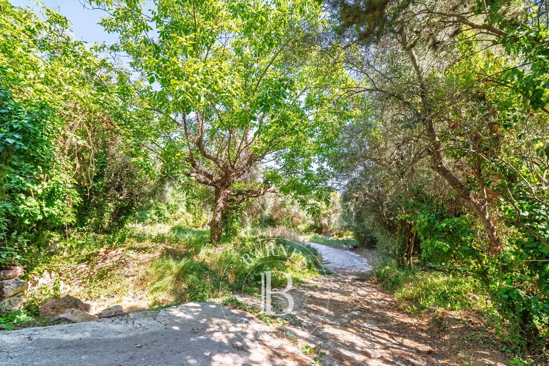 Grasse  - Terrain  - picture 9