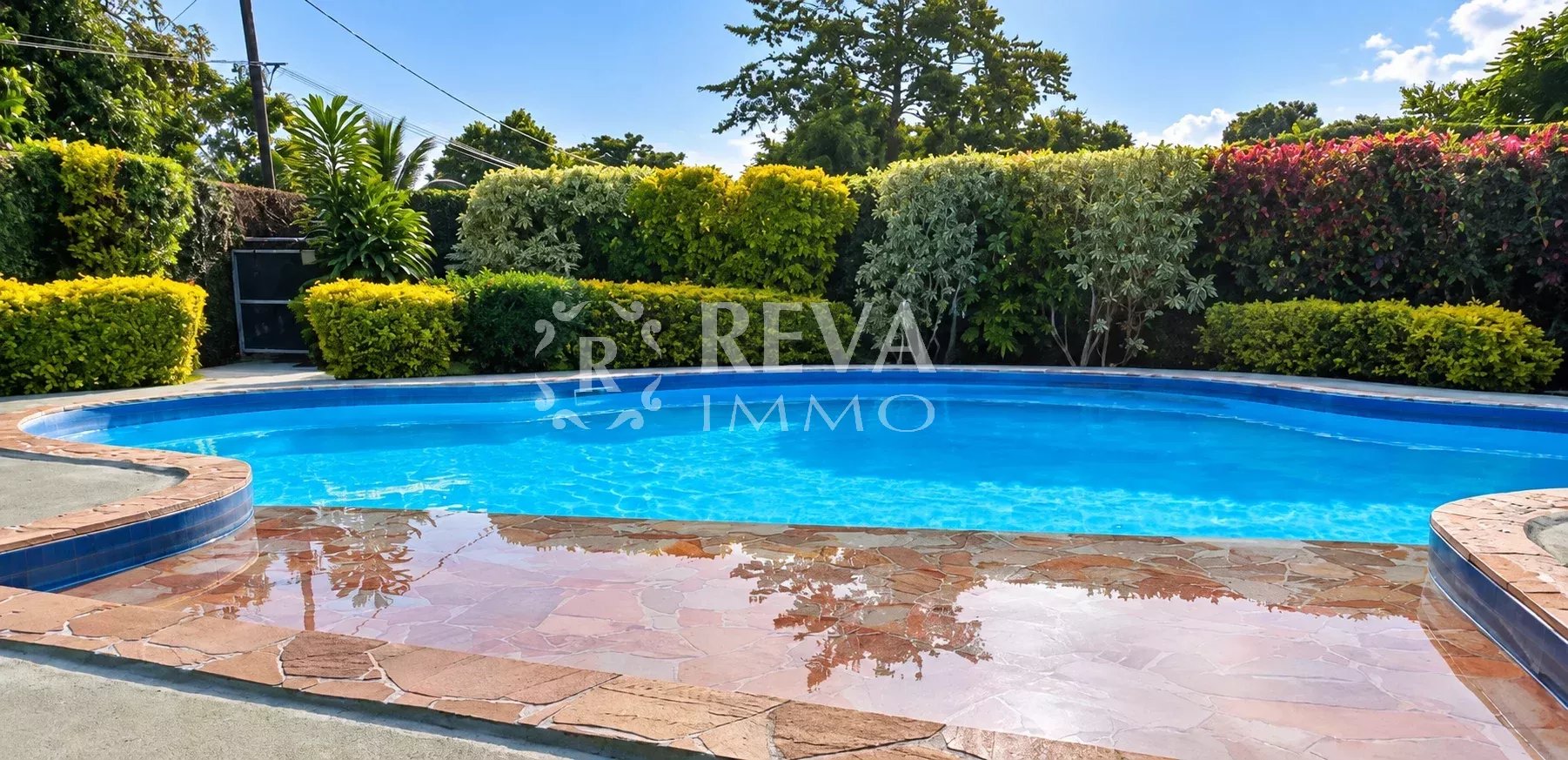 Agence immobilière de 