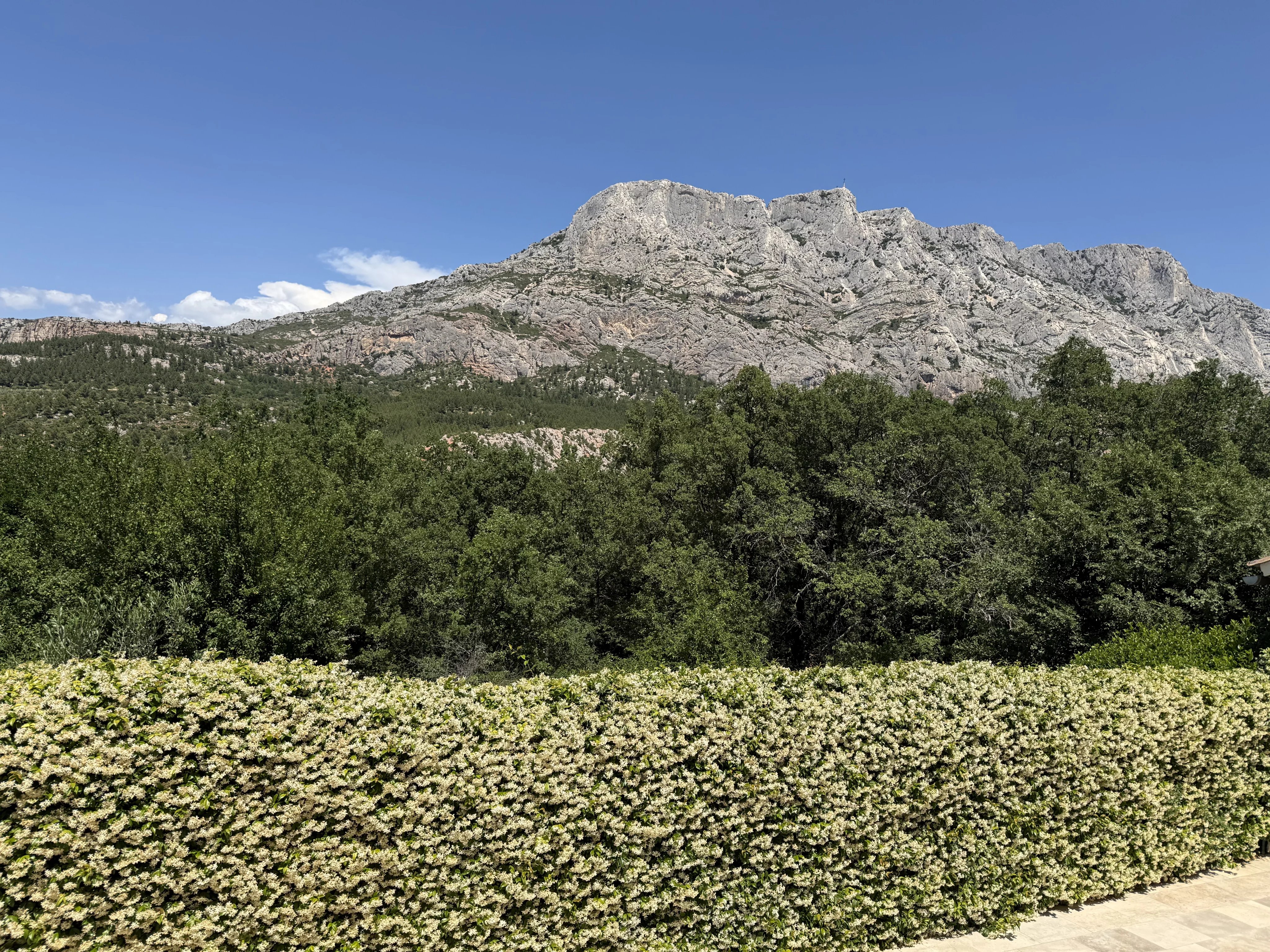 Village House facing Sainte Victoire 15 Min Aix