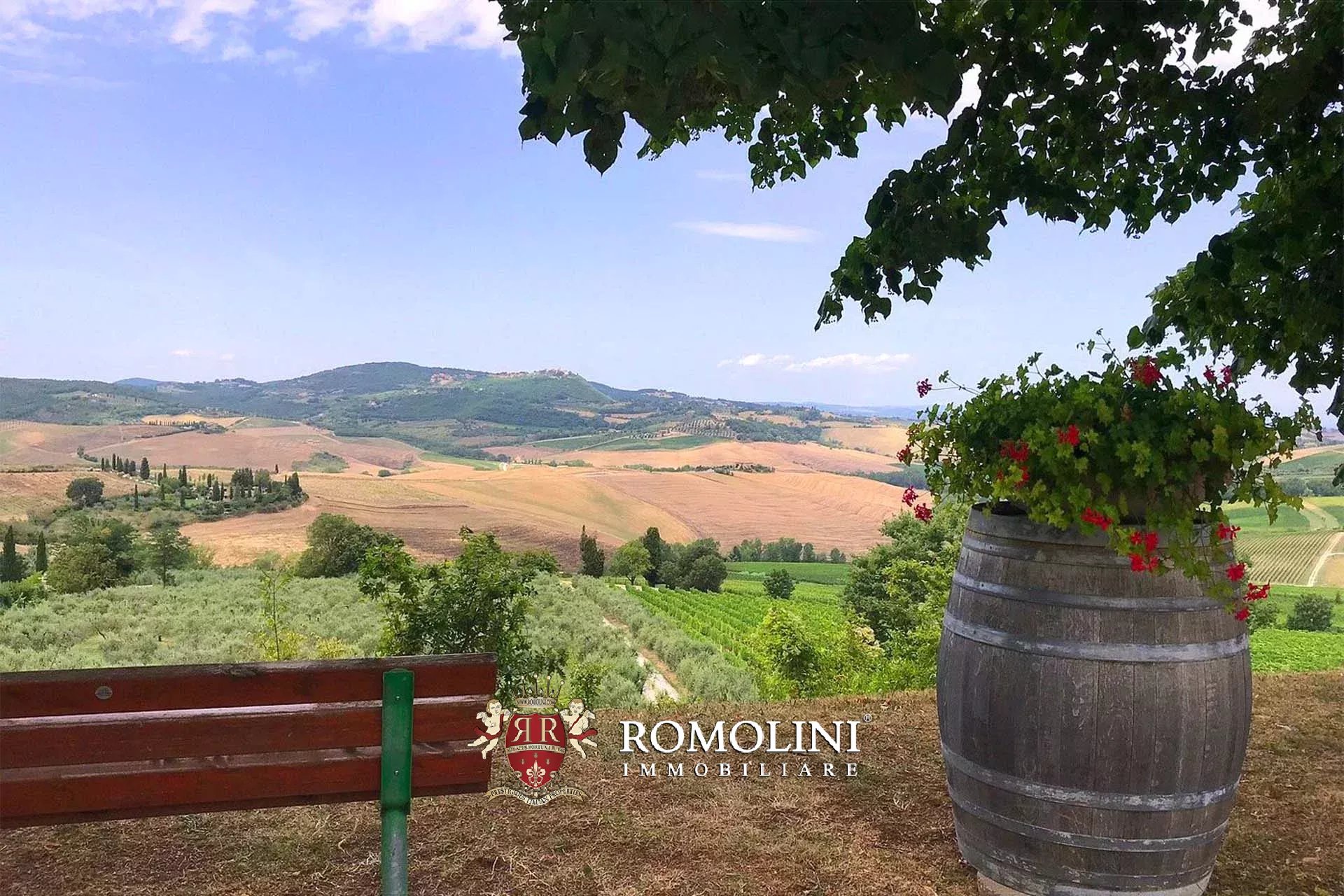 7 Bedroom Vineyard's Image 24