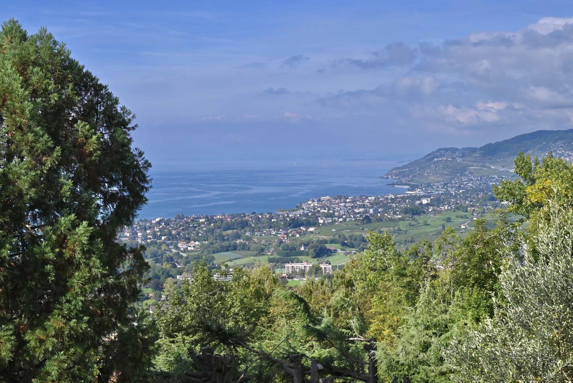 Villa panoramique avec piscine et pool house, grand terrain