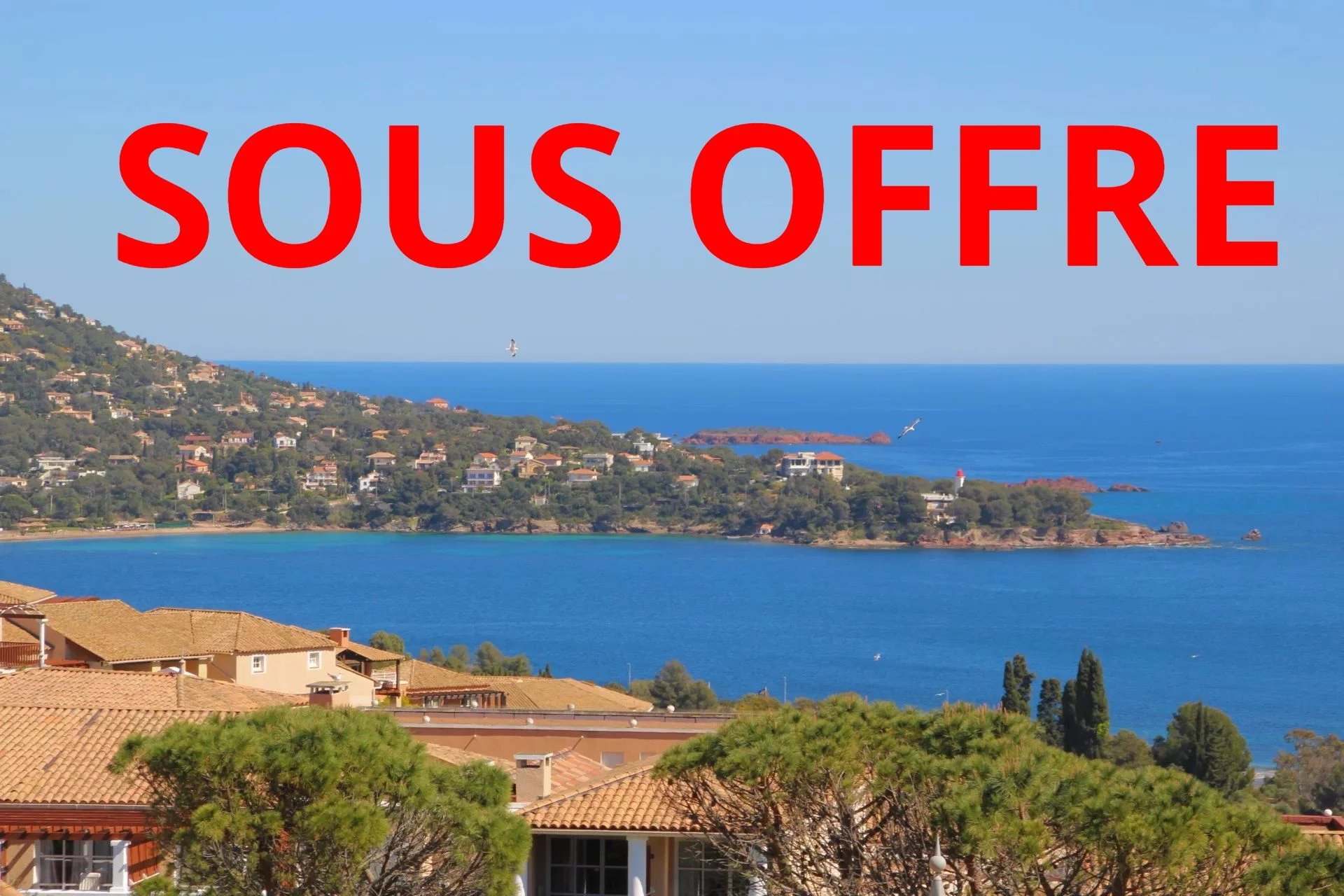 Agence immobilière de Azzurra Immobilier