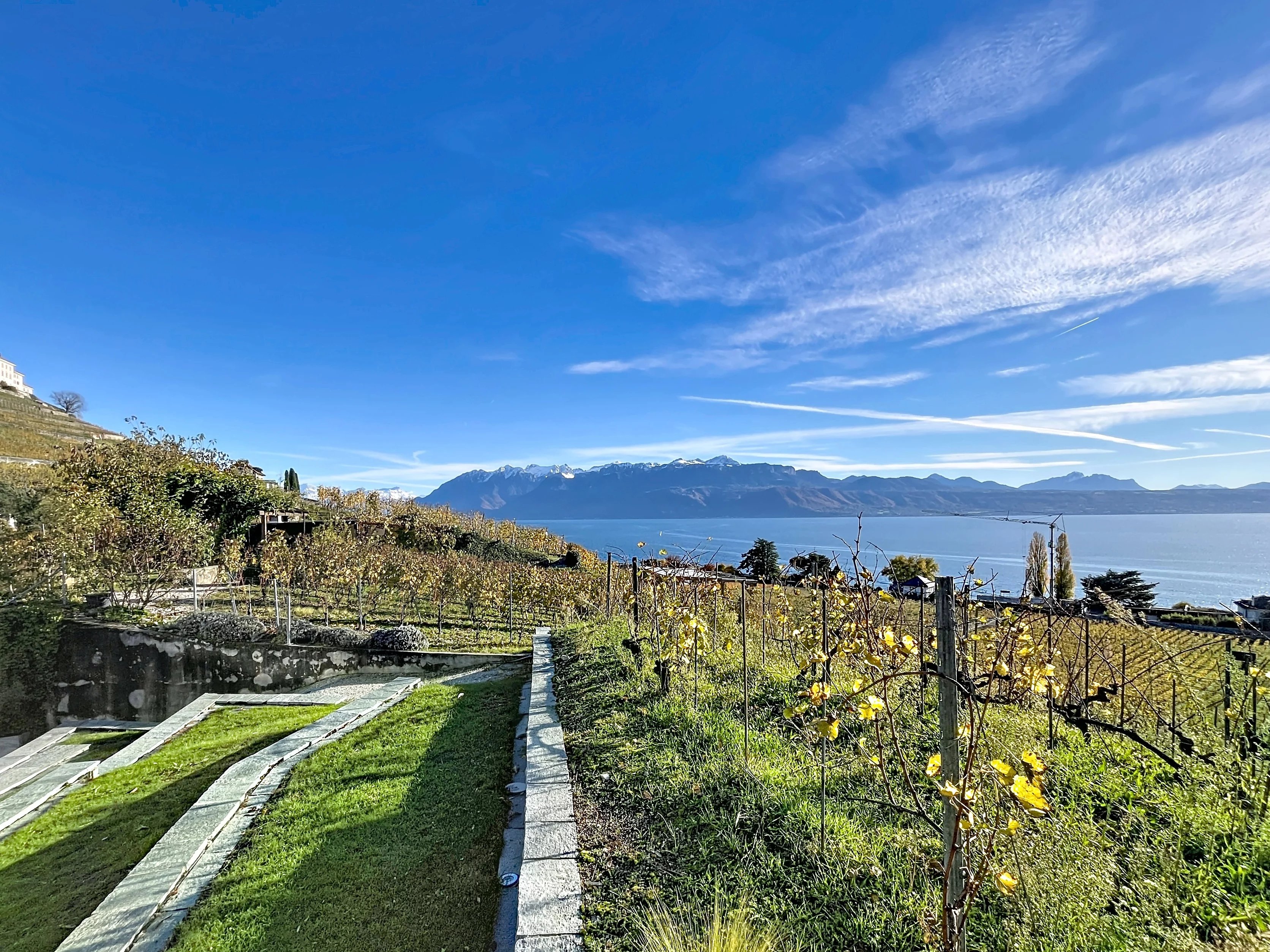 Appartement contemporain avec vue exceptionnelle sur le lac, au milieu des vignes
