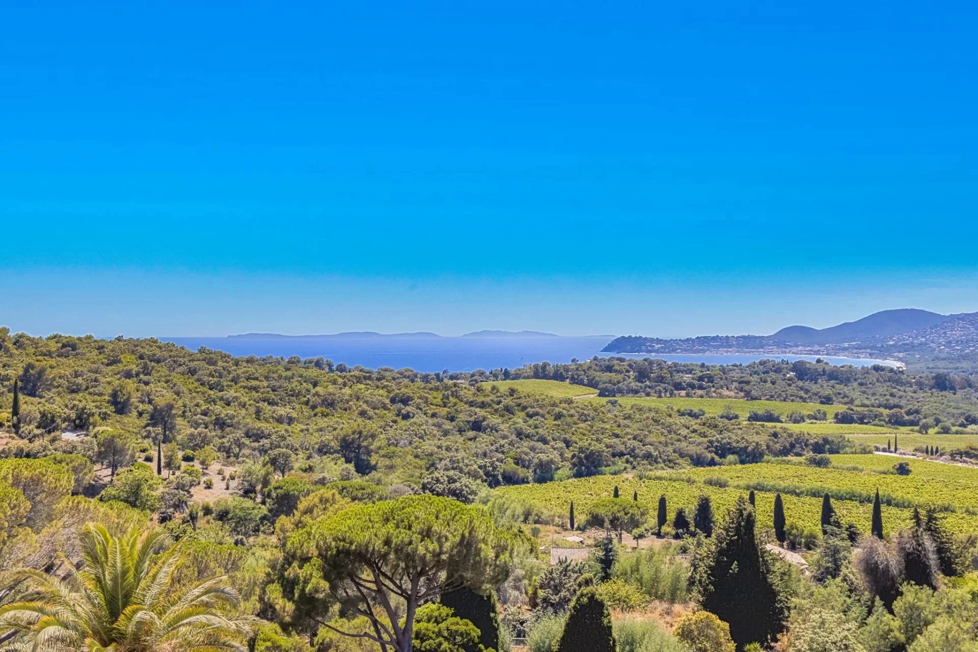 Agence immobilière de Immobilière Du Golfe De Saint-Topez