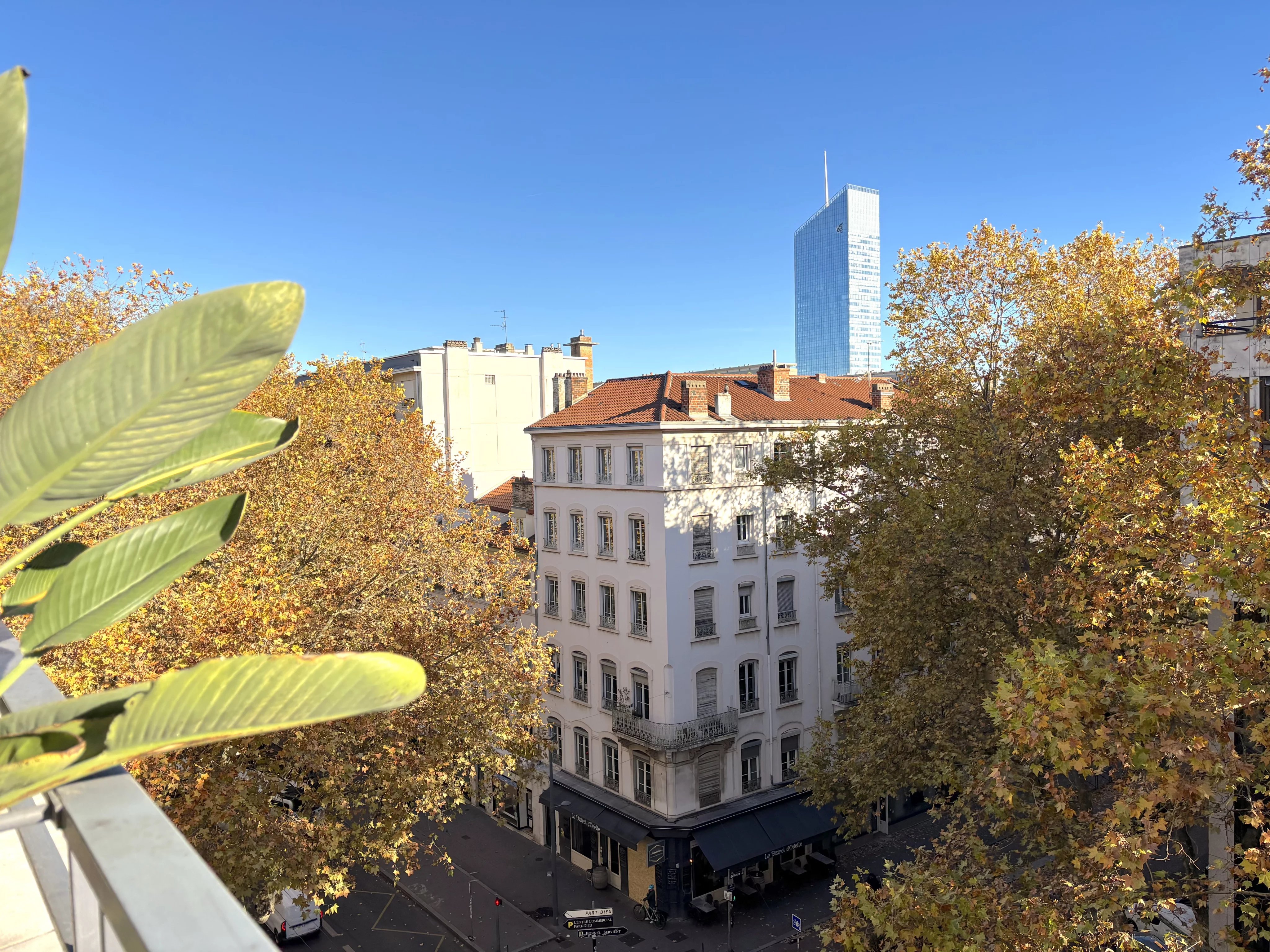 LYON 3 Préfecture. Immeuble Pitance T5 de 145m2 avec balcon — photo 15