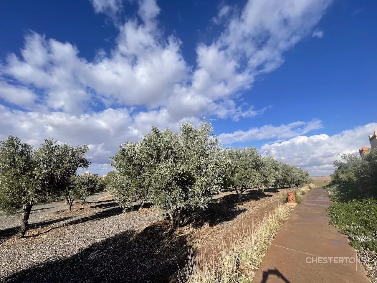 Image of Villa - 3 Bedrooms for Sale in Casablanca-Marrakech-Morocco, Image 11