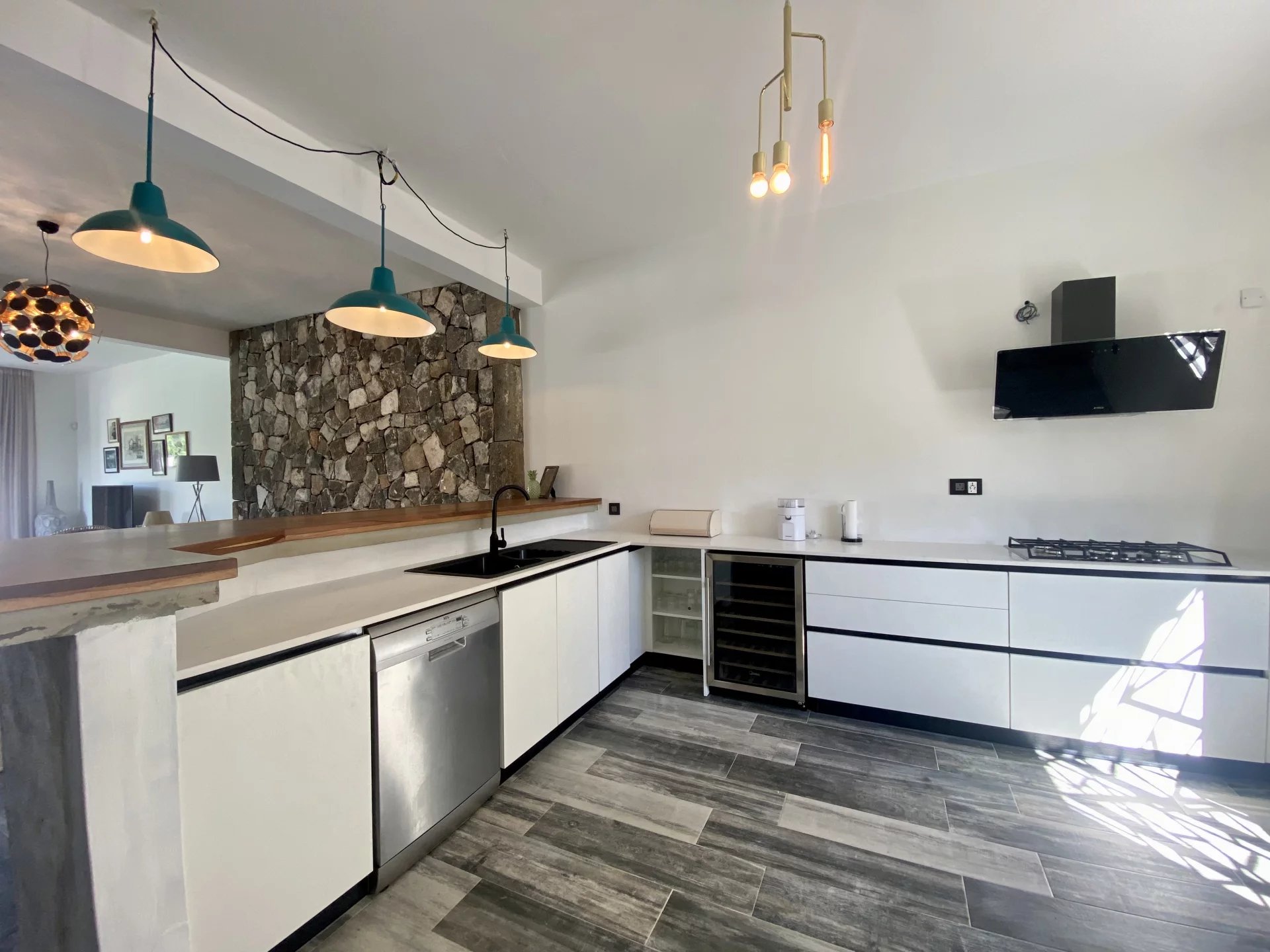 Ev Calodyne - picture 6