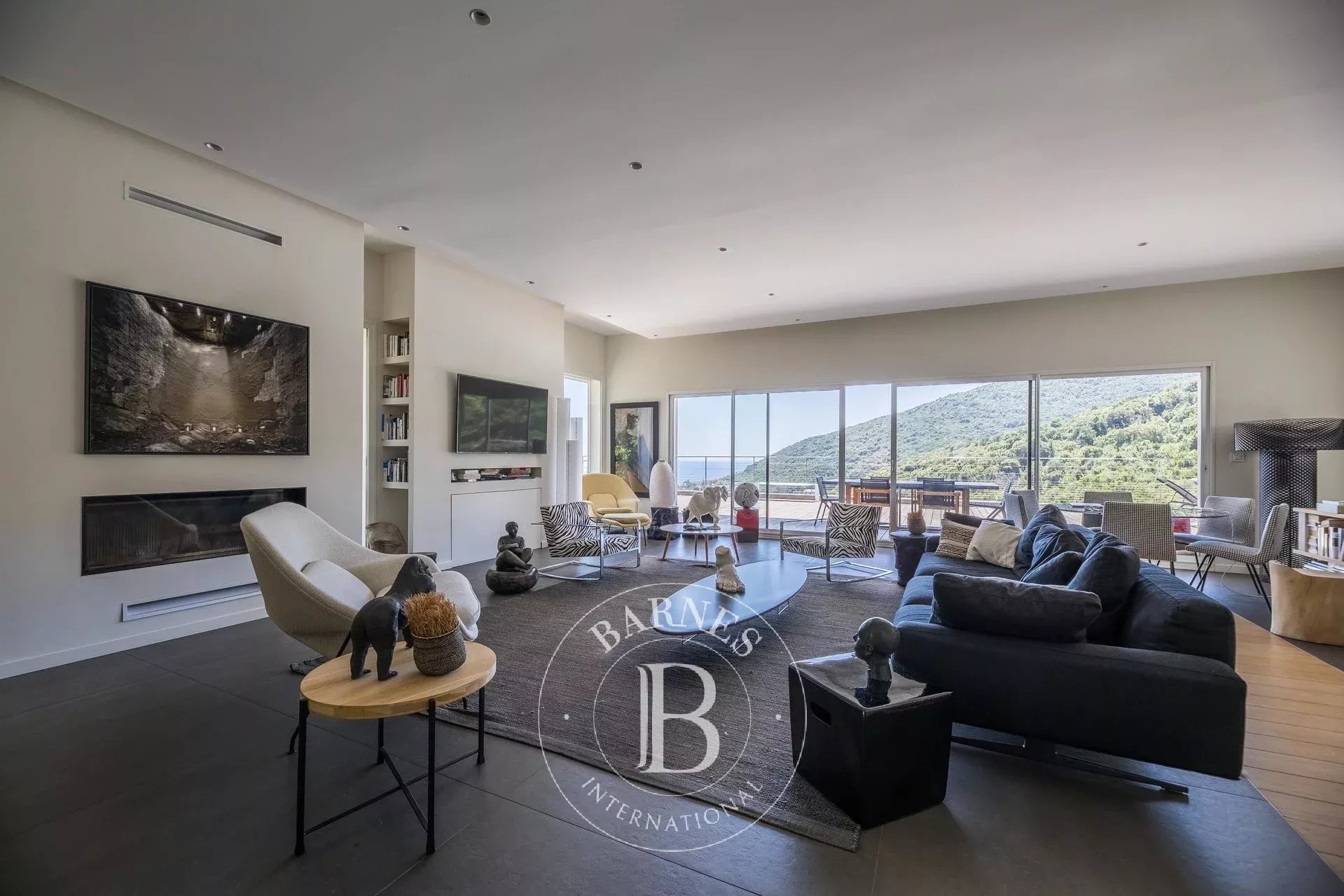 Villa Bastia - picture 7
