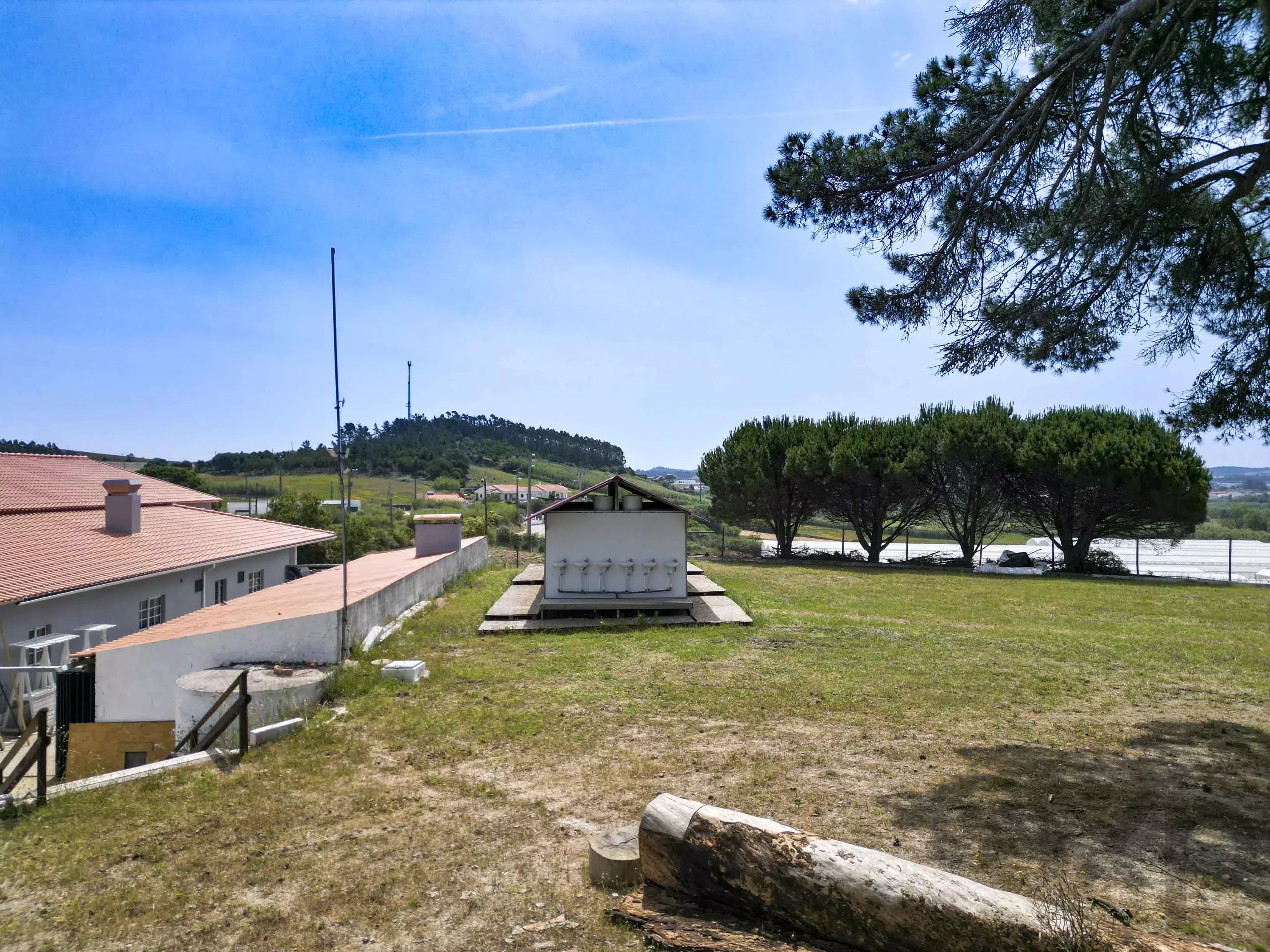 A dos Cunhados - Commercial farm with a plot of land measuring 9630 square meters 87016840 image 41
