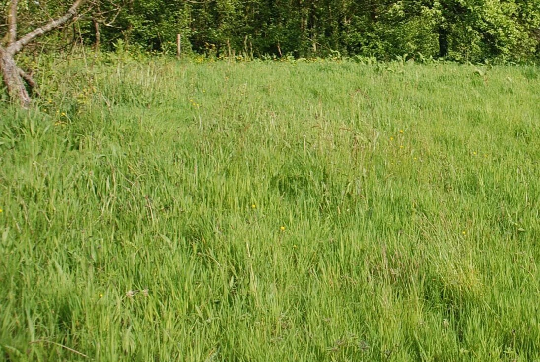 Vente Terrain Fécamp