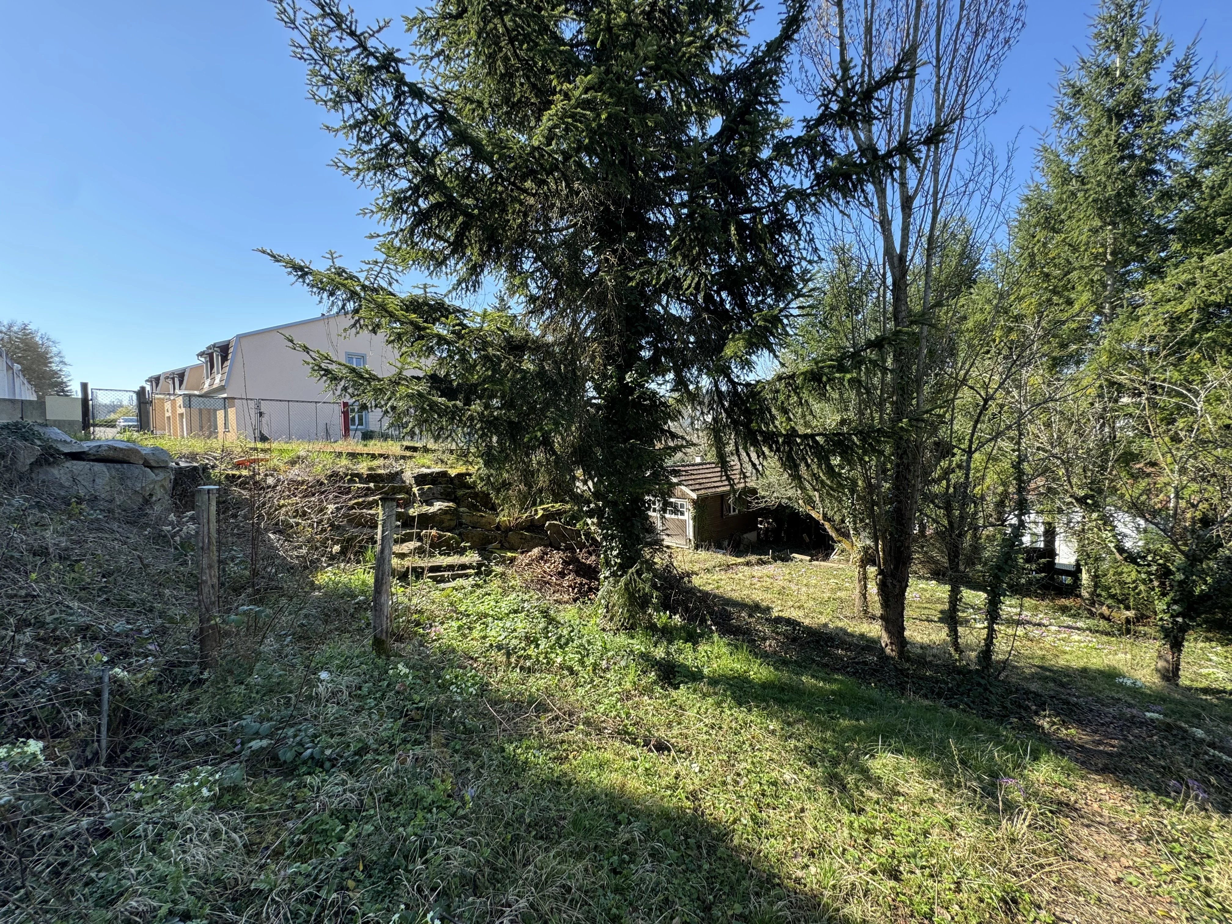 ALTKIRCH – TERRAIN À BÂTIR DE 8,56 ARES — photo 10