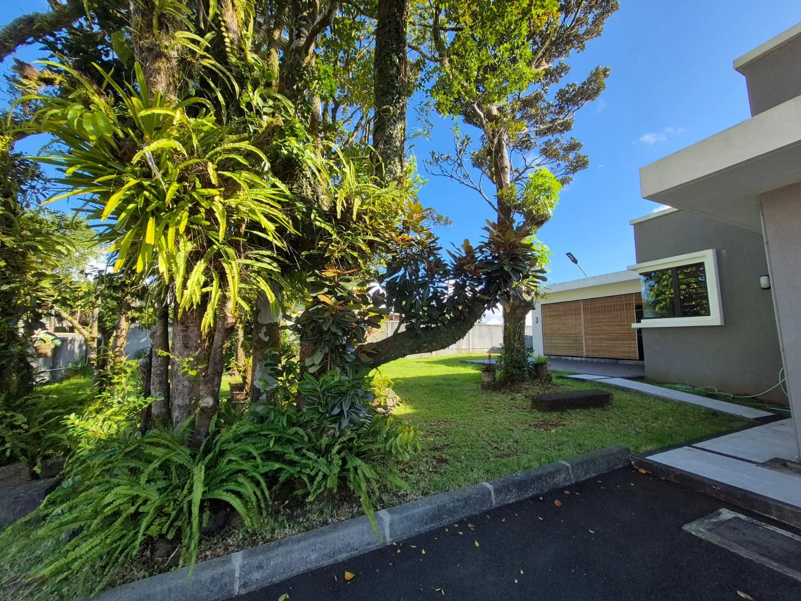 Curepipe  - Bureaux 1 Pi&egrave;ce - picture 12
