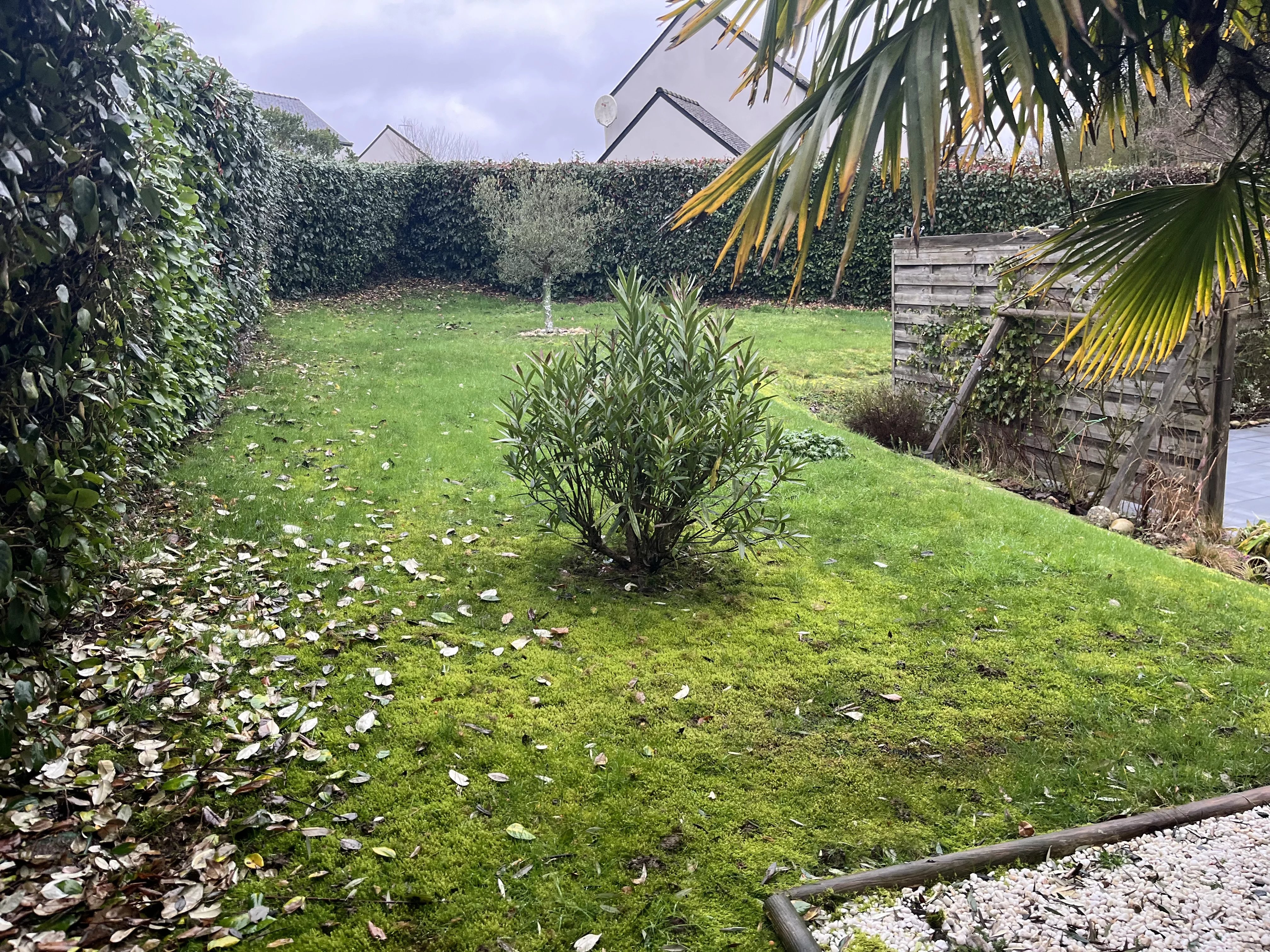 NOUVEAUTE RANCE IMMO – DINAN-LEHON